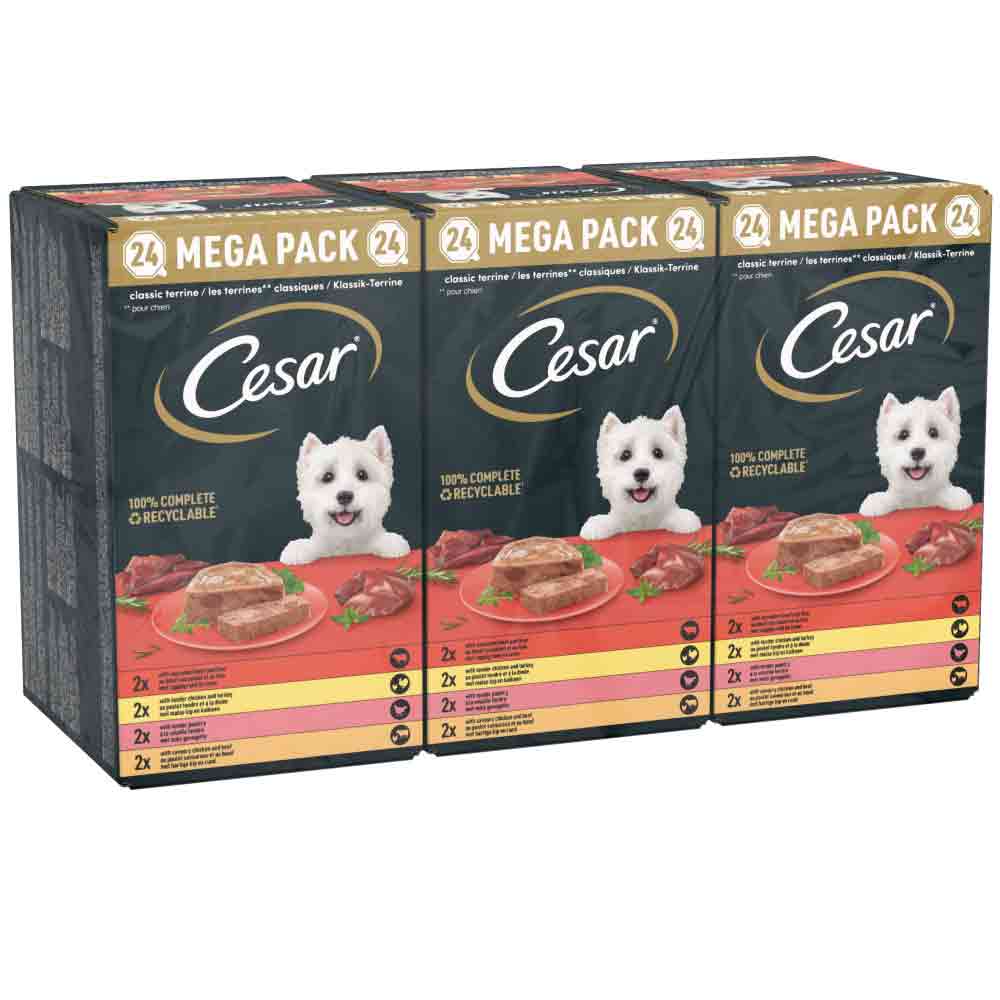CESAR Classics Terrine Mixed Selection Trays - 24x150g Trays - Image 8