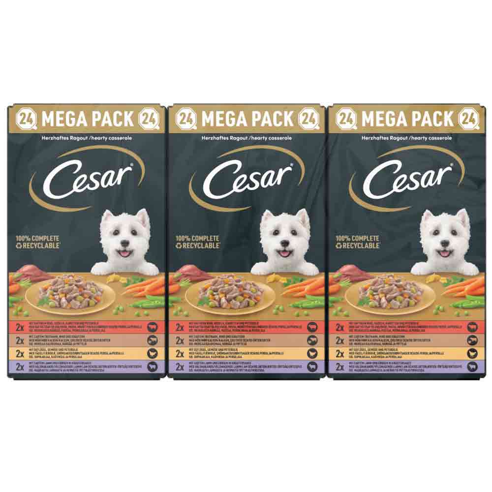 CESAR Country Stew Adult Wet Dog Food in Gravy - Mixed Selection - 24x150g Trays - Image 2