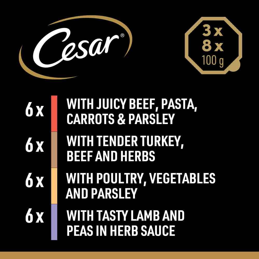 CESAR Country Stew Adult Wet Dog Food in Gravy - Mixed Selection - 24x150g Trays - Image 5