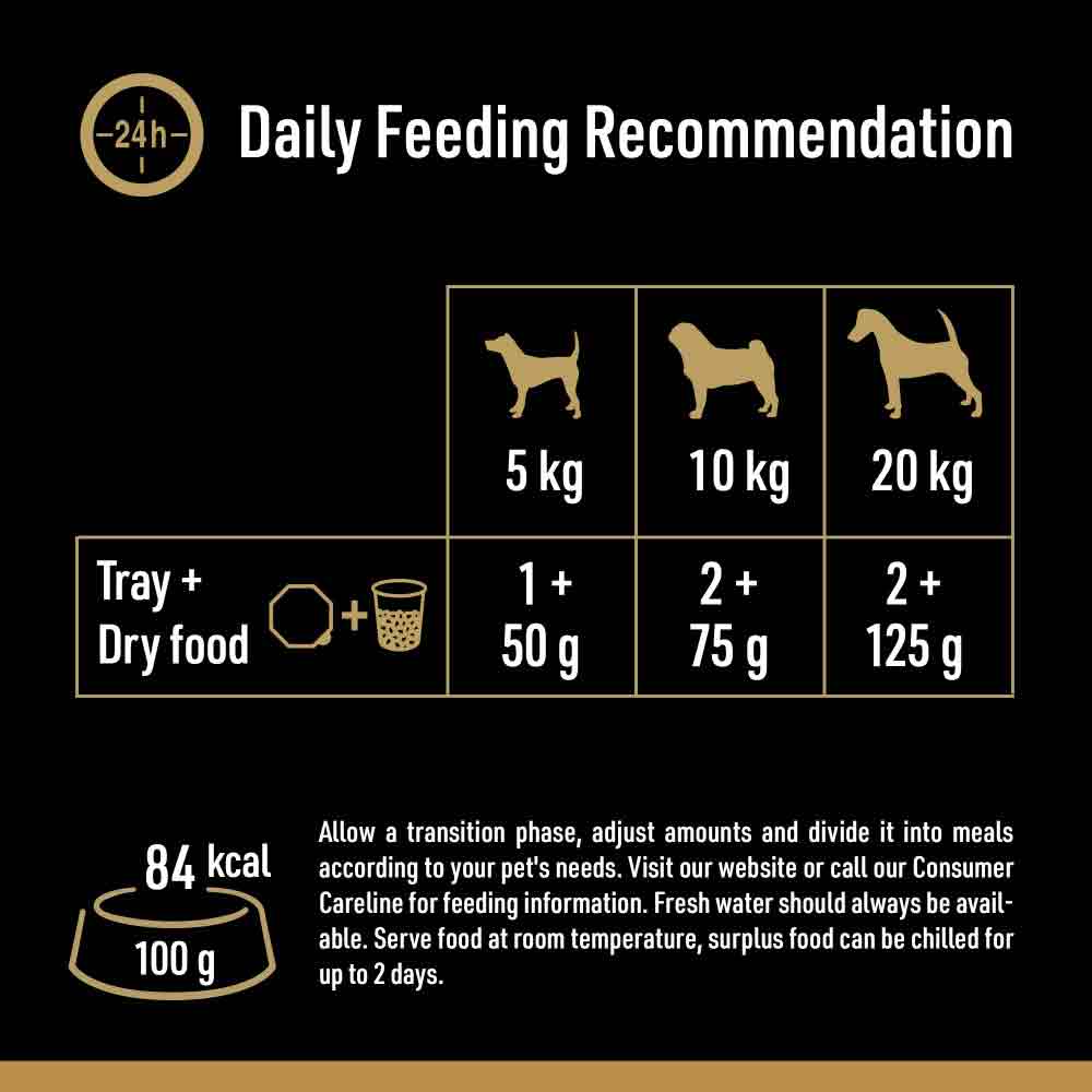 CESAR Country Stew Adult Wet Dog Food in Gravy - Mixed Selection - 24x150g Trays - Image 6