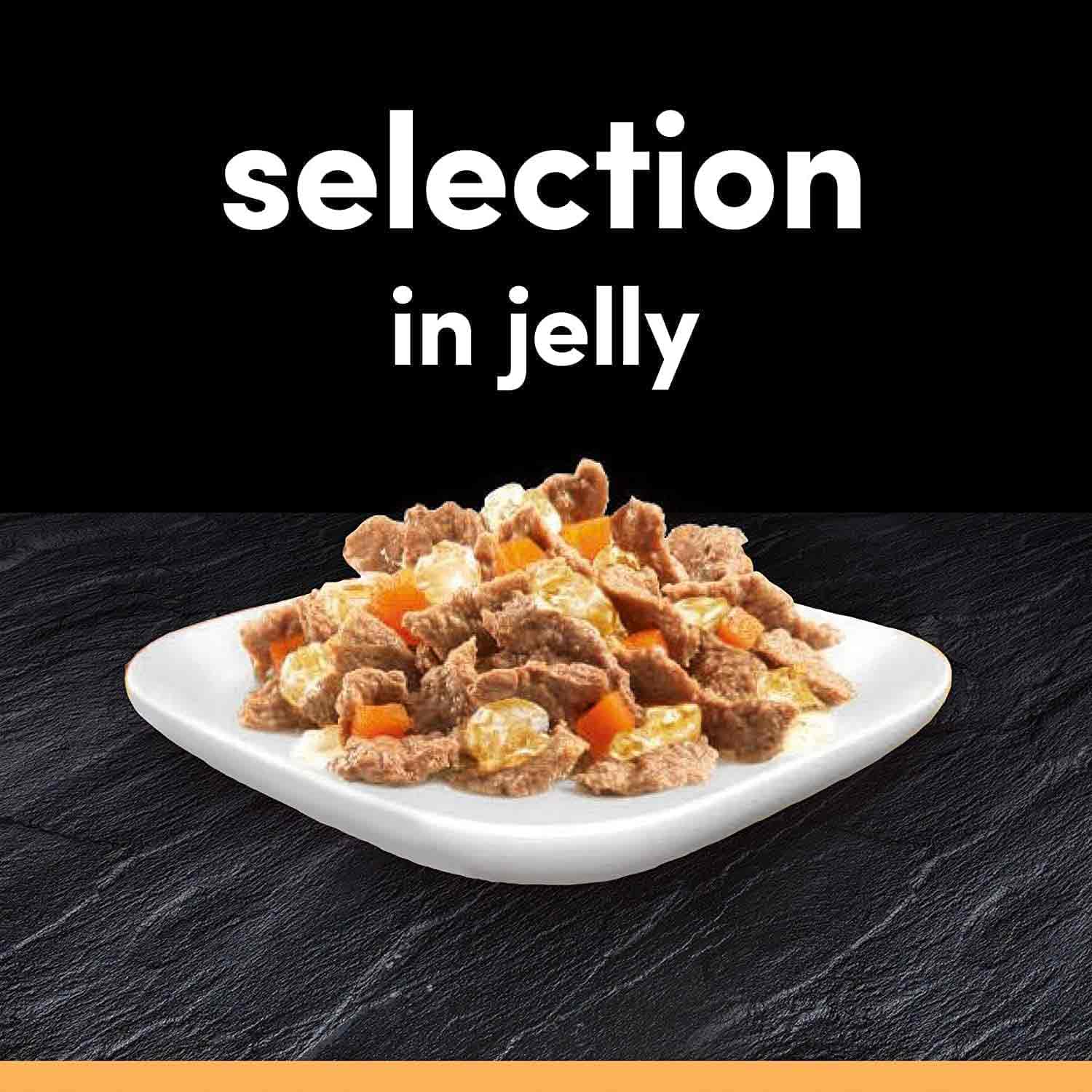 CESAR Deliciously Fresh Favourites Adult Wet Dog Food in Jelly - 12x100g Pouches - Image 2
