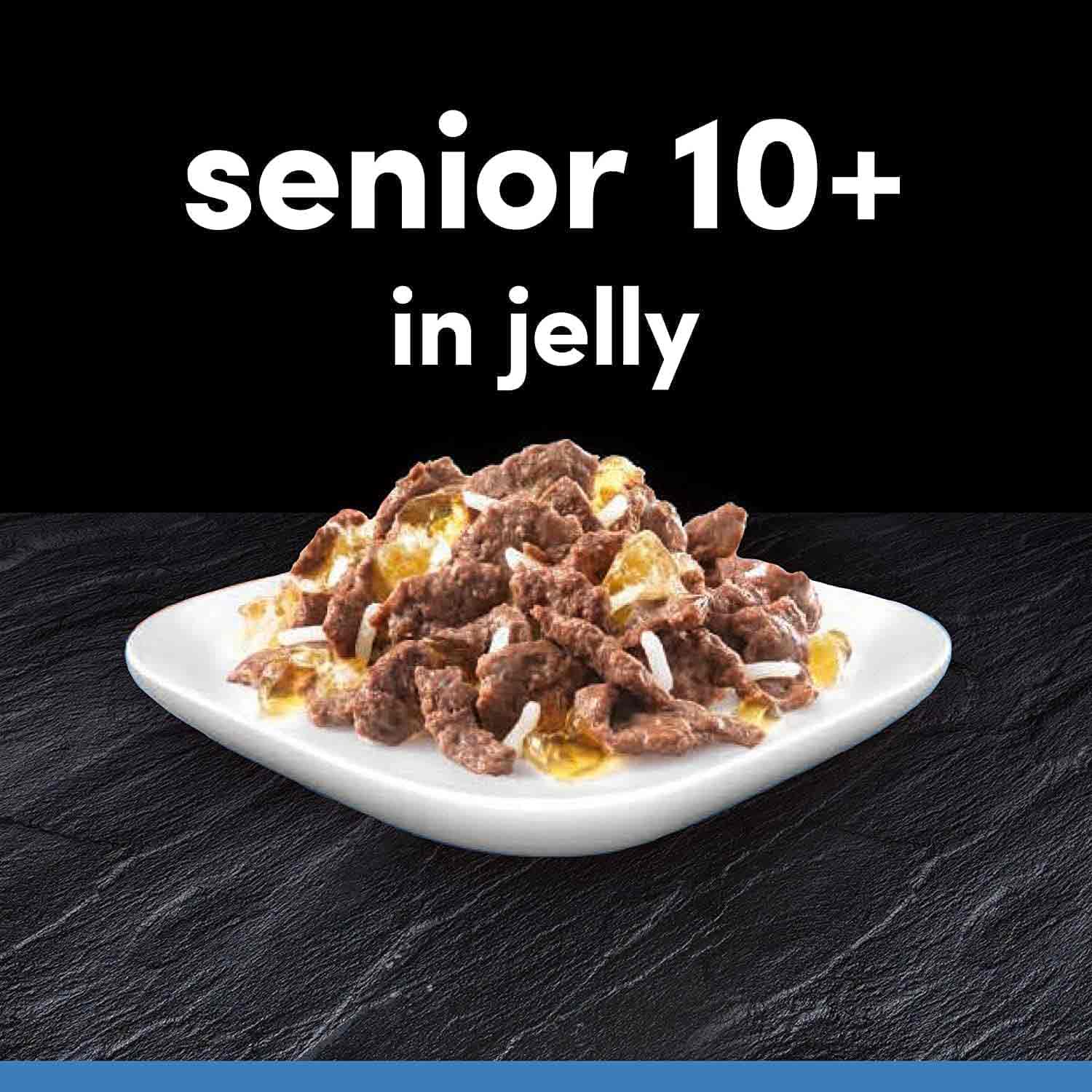 CESAR Deliciously Fresh Mixed Selection Senior 10+ Wet Dog Food in Jelly - 12x100g Pouches - Image 5