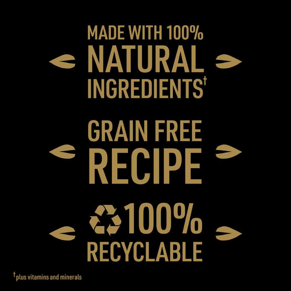 CESAR Natural Goodness Adult Wet Dog Food in Loaf - Mixed Selection - 12x400g Cans - Image 6
