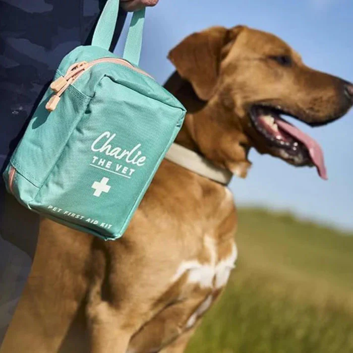 Charlie The Vet Pet First Aid Kit - Image 12