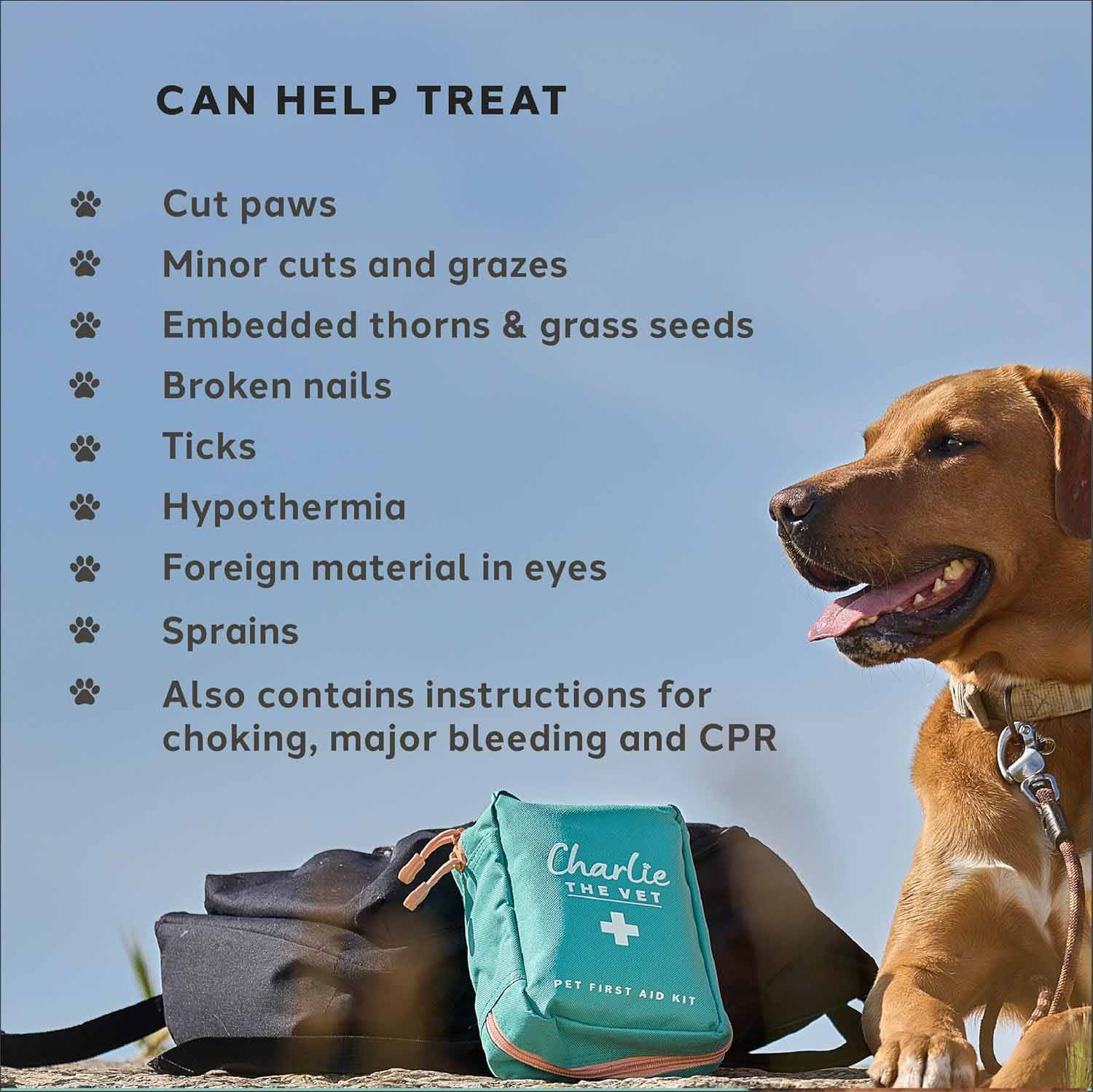 Charlie The Vet Pet First Aid Kit - Image 3