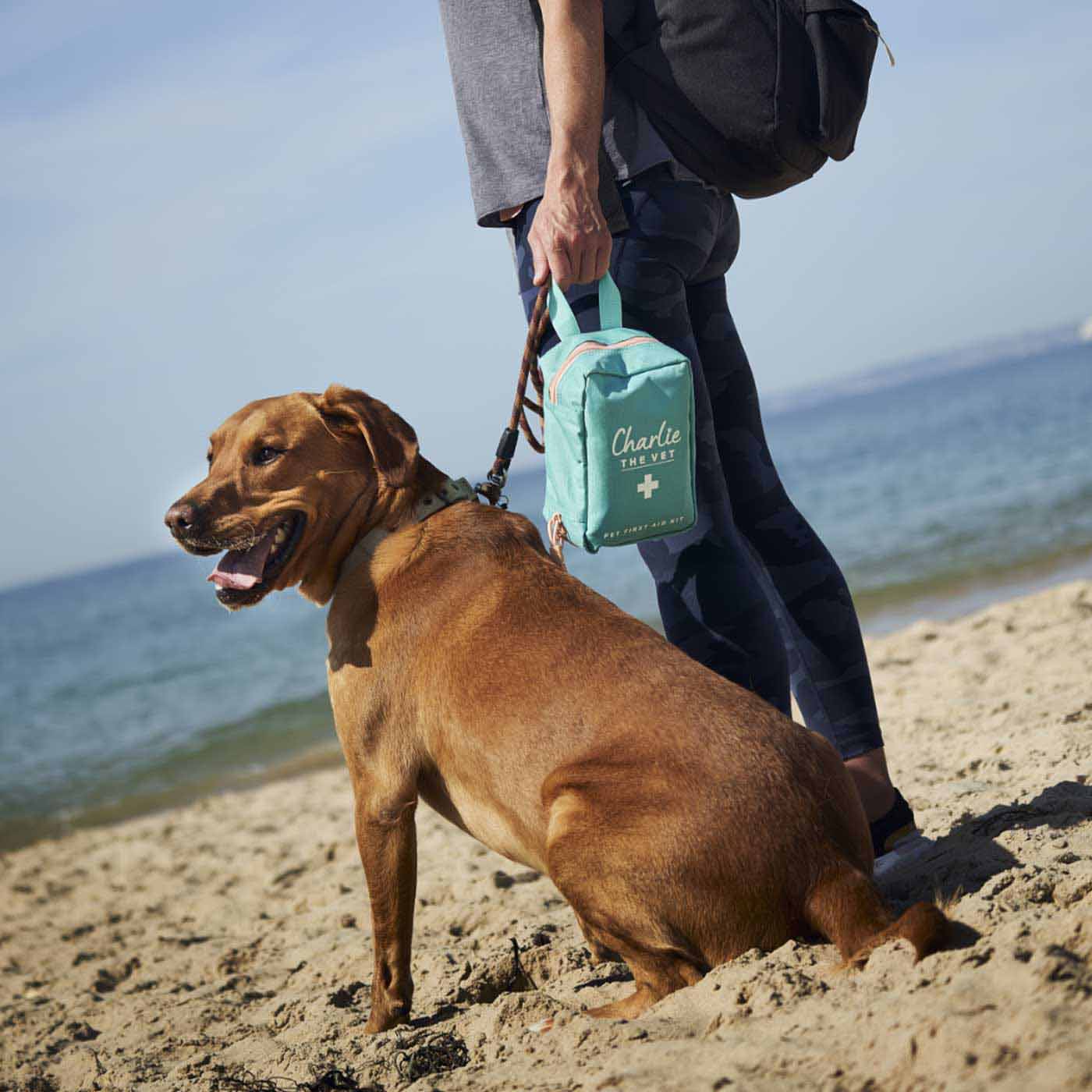 Charlie The Vet Pet First Aid Kit - Image 8