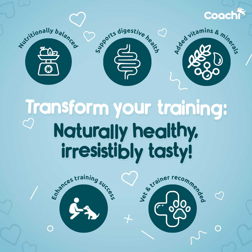 Coachi Natural Puppy Training Treats - Chicken - 100g - Image 2