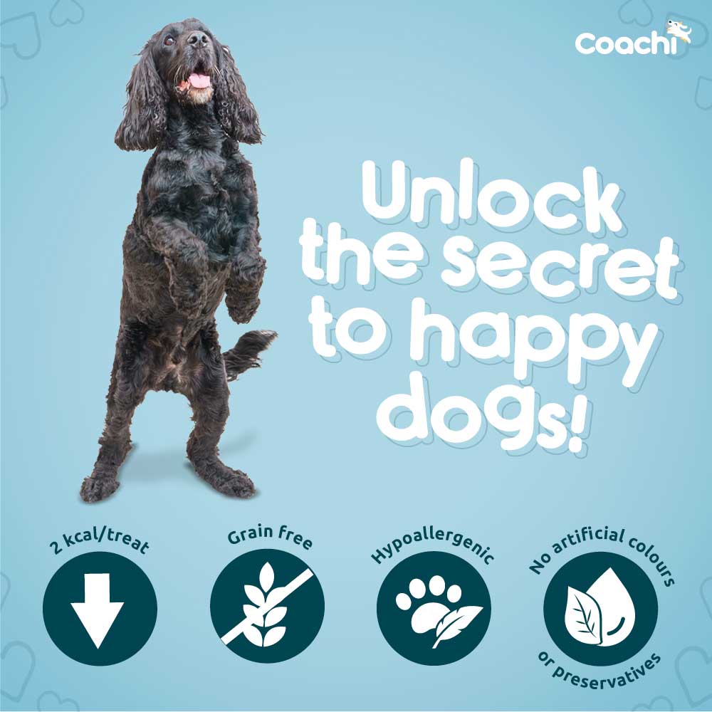 Coachi Natural Puppy Training Treats - Chicken - 100g - Image 3