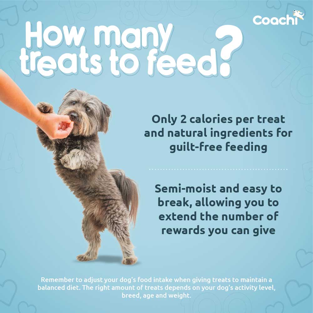 Coachi Natural Puppy Training Treats - Chicken - 100g - Image 4