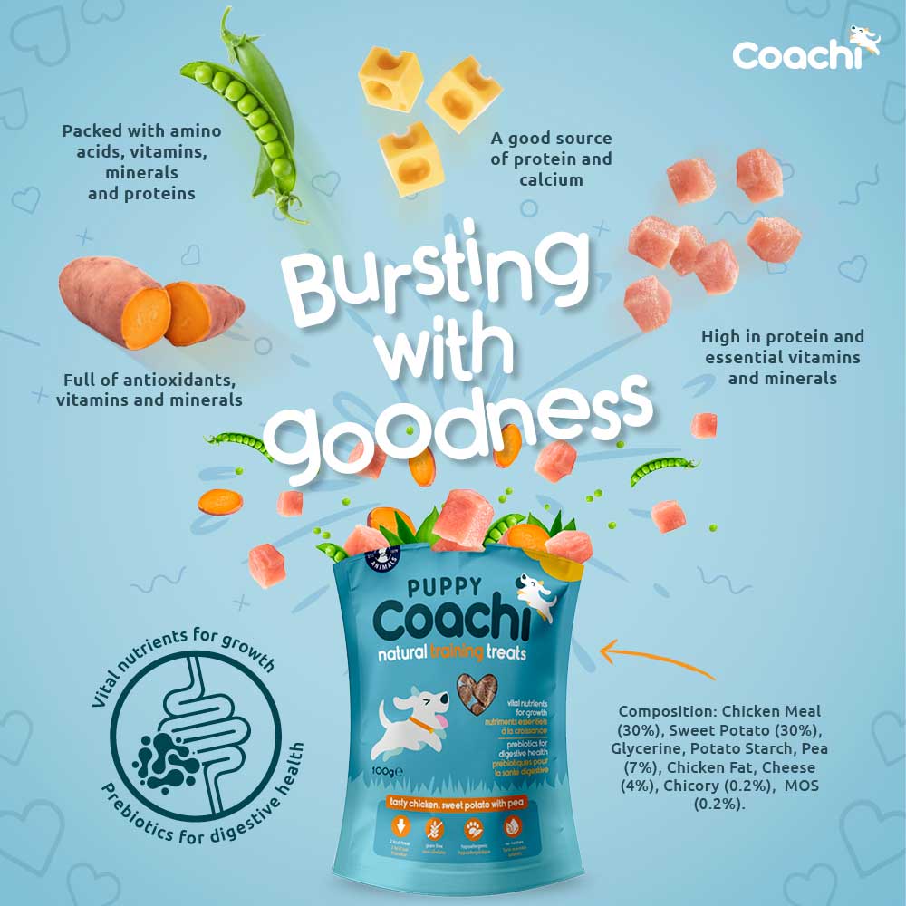 Coachi Natural Puppy Training Treats - Chicken - 100g - Image 5