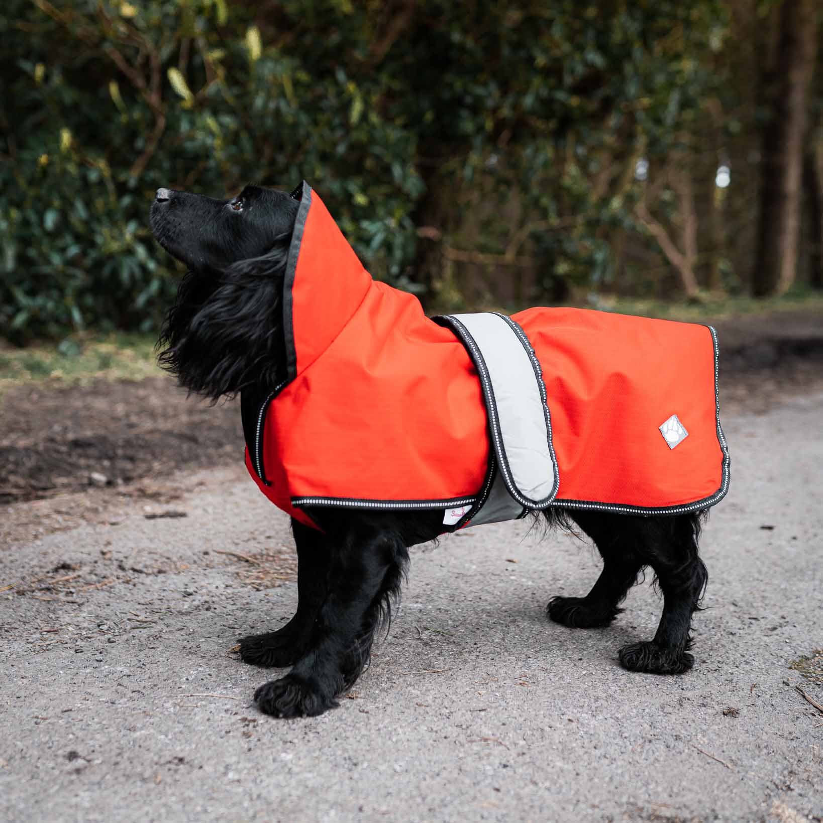 Danish Design 2-in-1 Dog Coat - Orange - Image 3