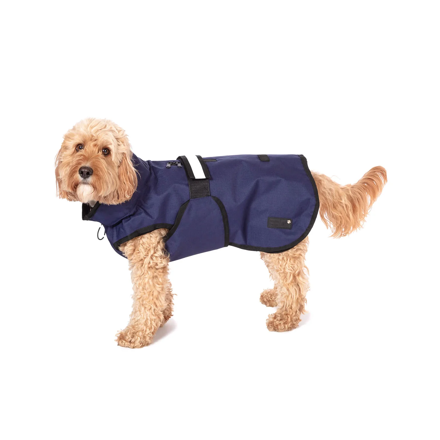 Danish Design 3-in-1 Dog Coat - Navy - Image 3