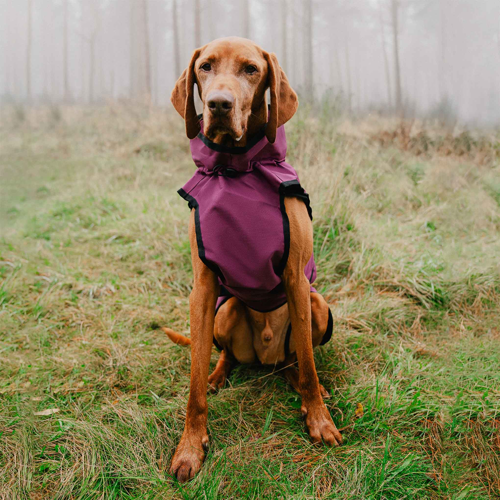 Danish Design 3-in-1 Dog Coat - Plum - Image 11