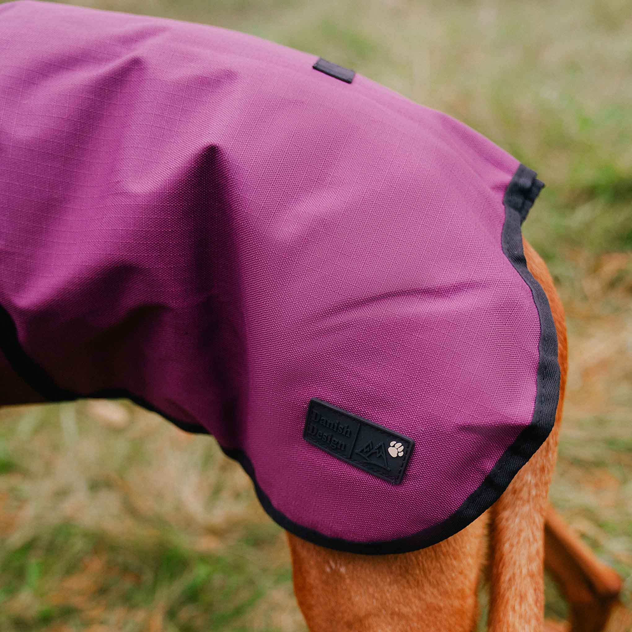 Danish Design 3-in-1 Dog Coat - Plum - Image 12