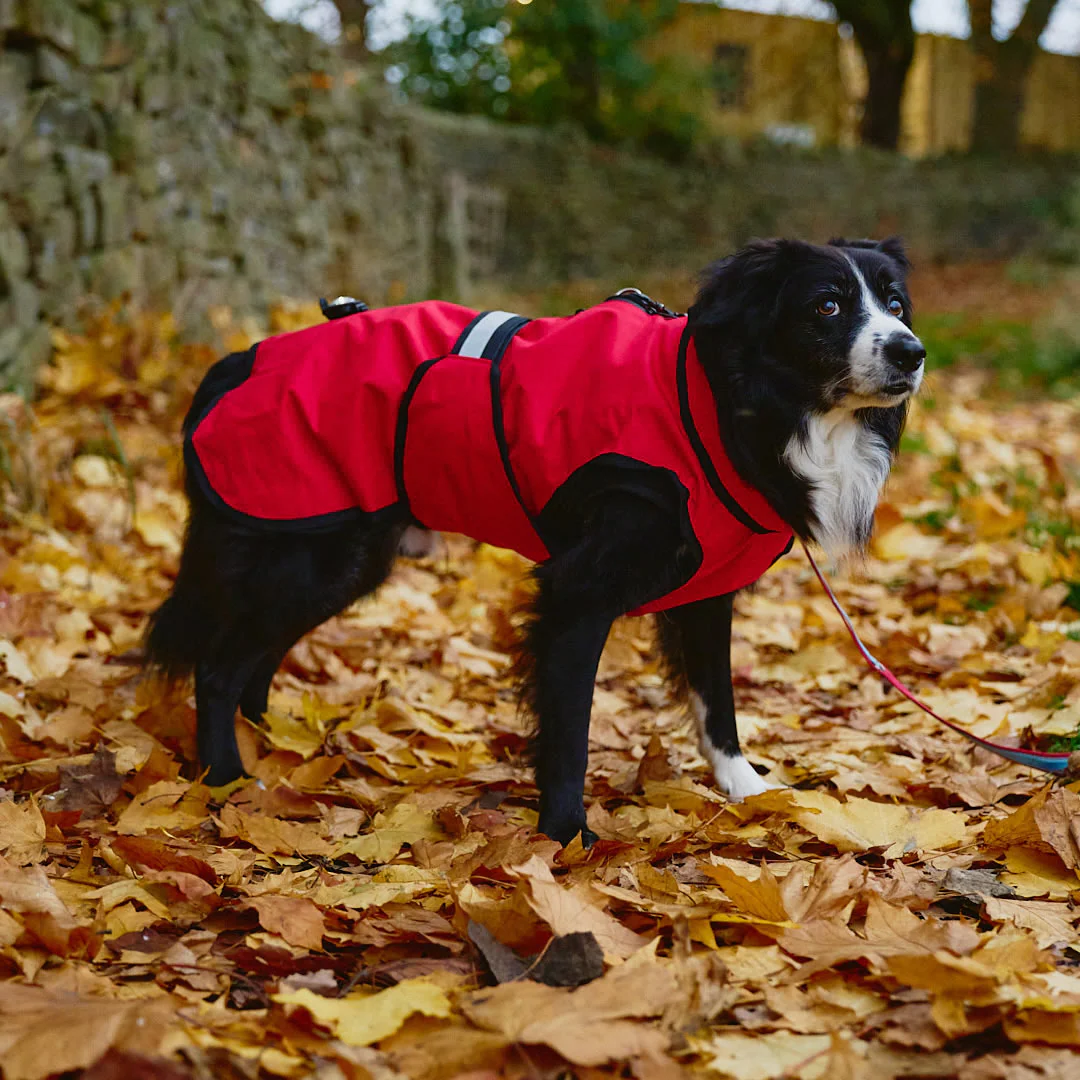 Danish Design 3-in-1 Dog Coat - Red - Image 12