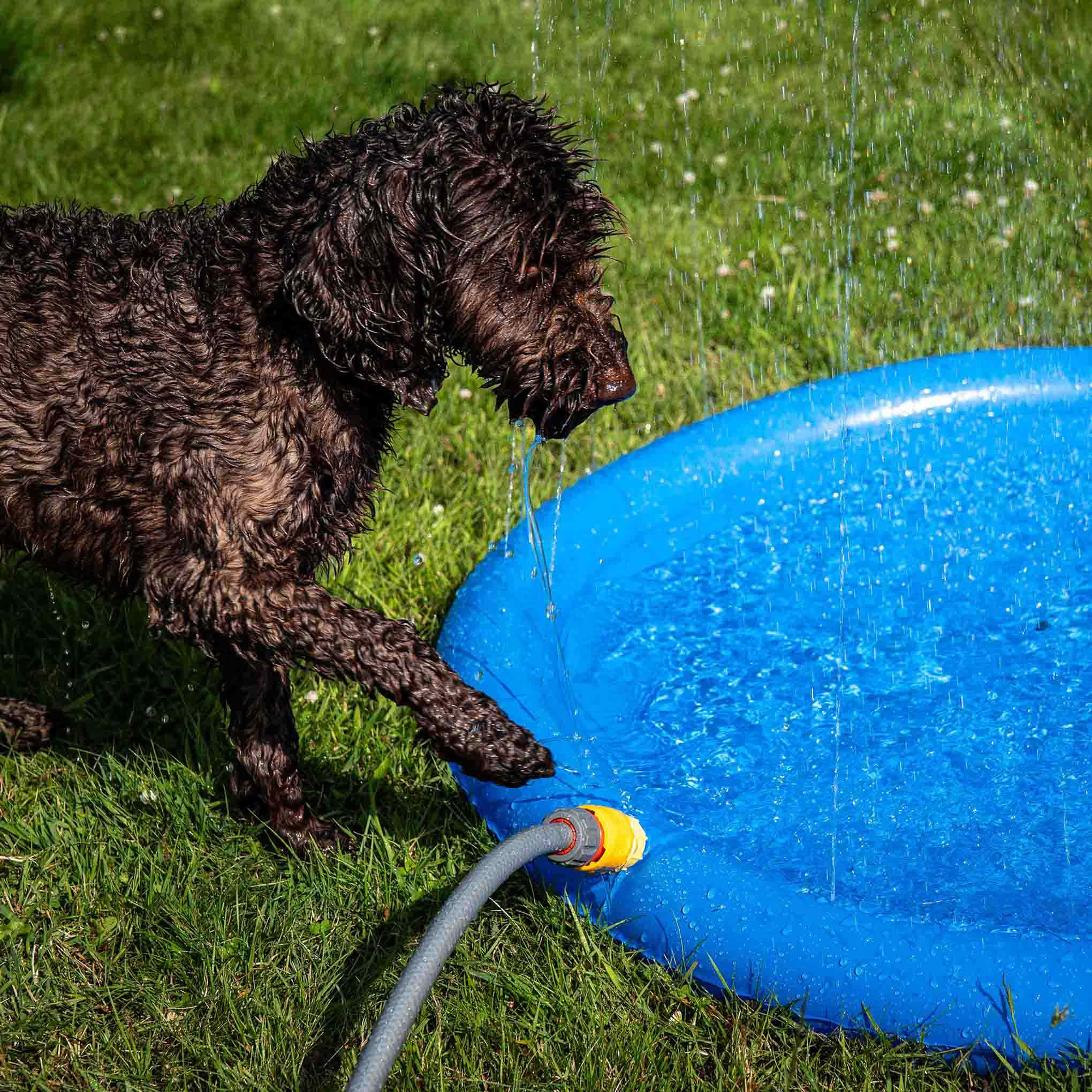 Danish Design Pet Cooling Water Sprinkler - Image 2
