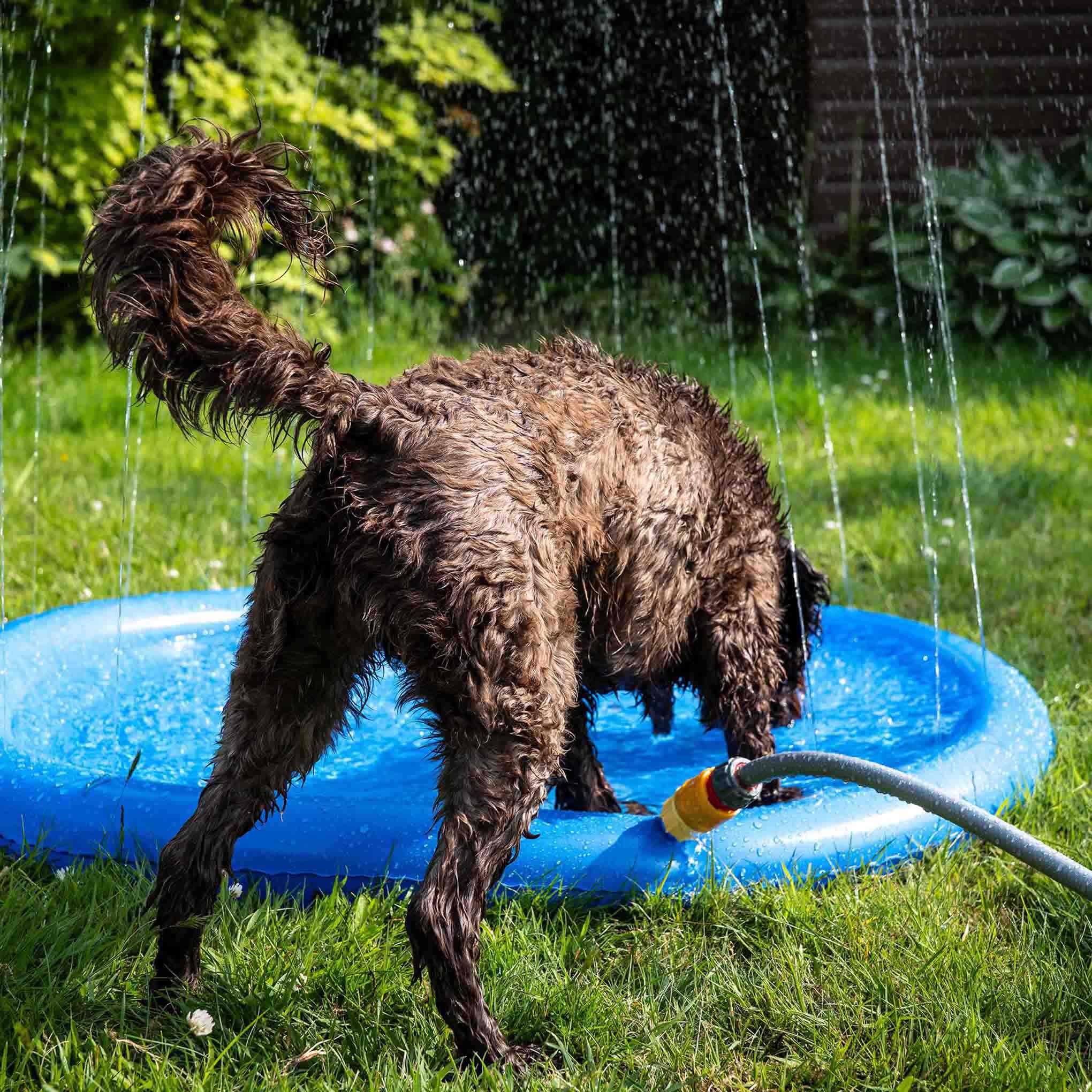 Danish Design Pet Cooling Water Sprinkler - Image 4