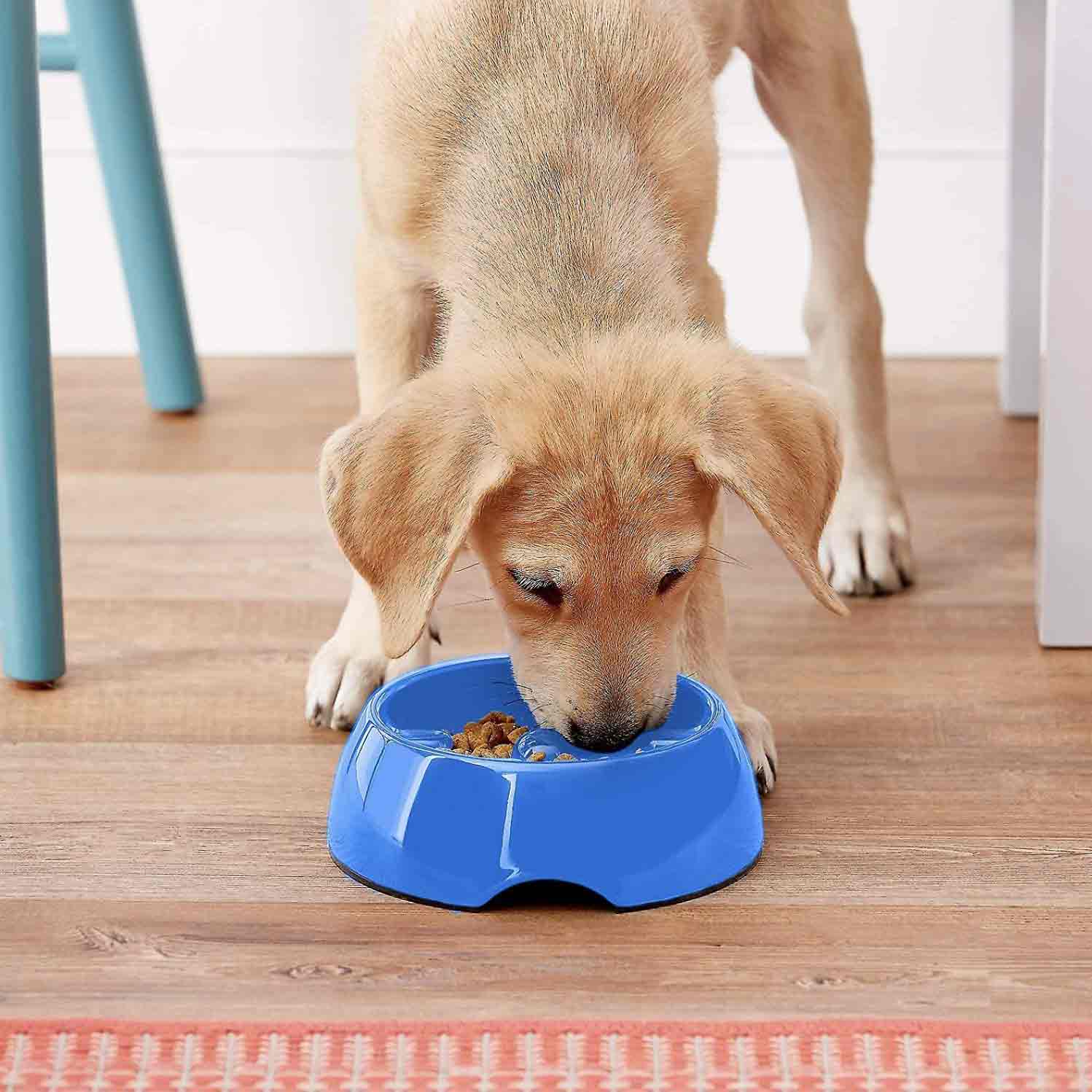 Dogit Anti Gulping Bowl - Blue - Image 2
