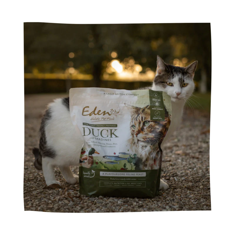 Eden Feline Feast Duck & Sardine Dry Cat Food - Image 3