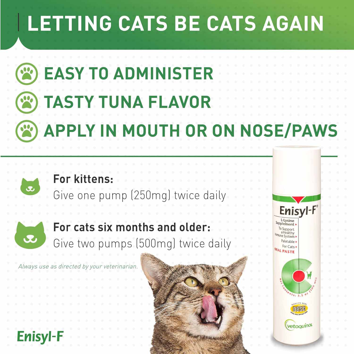 Enisyl F-Paste For Cats - 100ml - Image 5