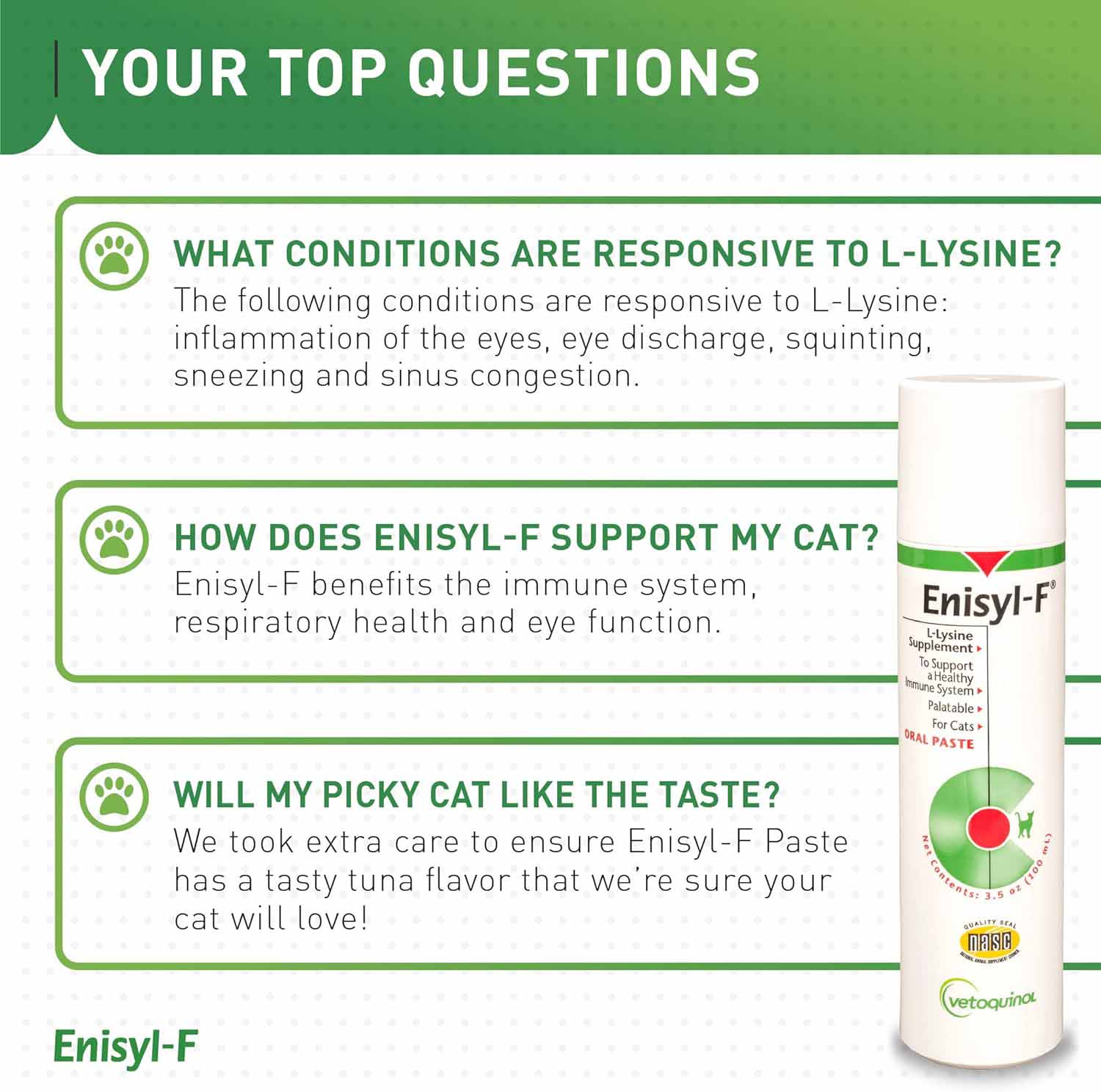 Enisyl F-Paste For Cats - 100ml - Image 6