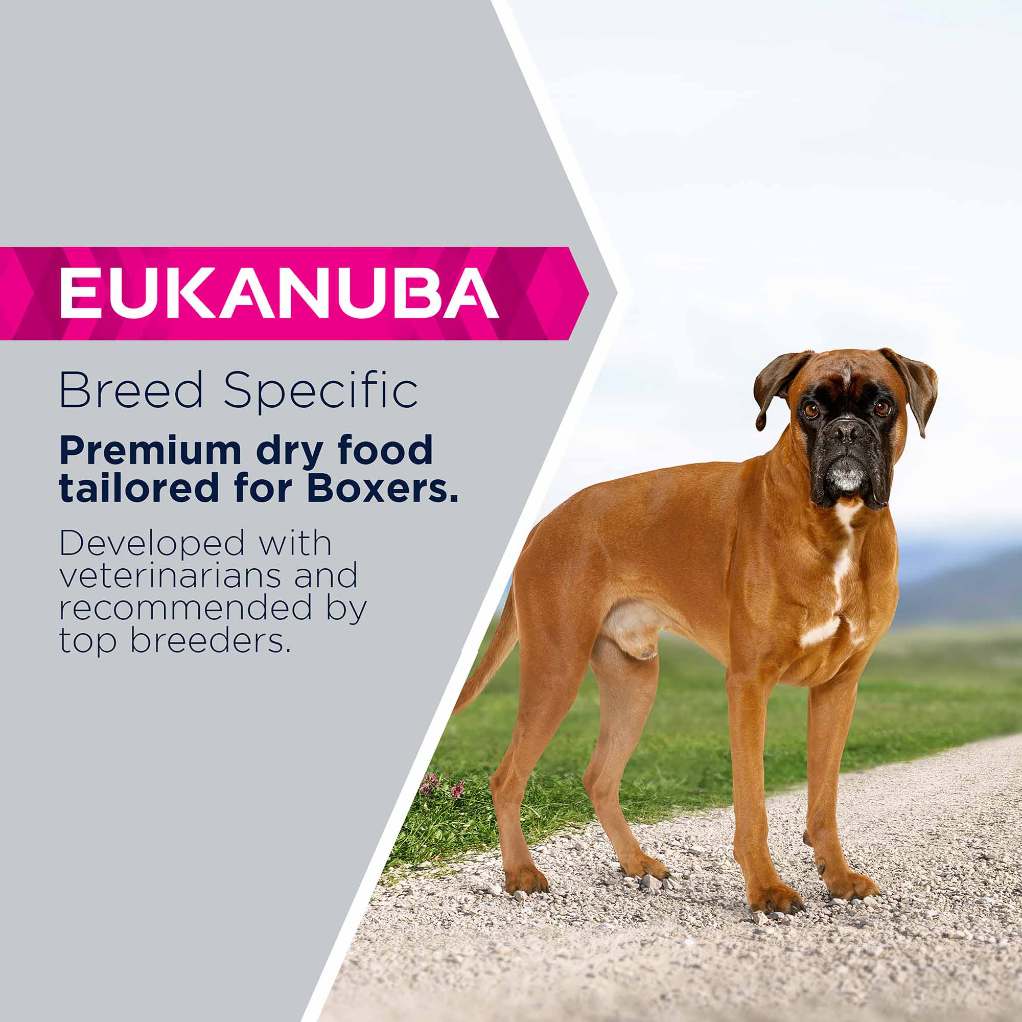Eukanuba Breed Specific Adult Boxer Dry Dog Food - Image 3