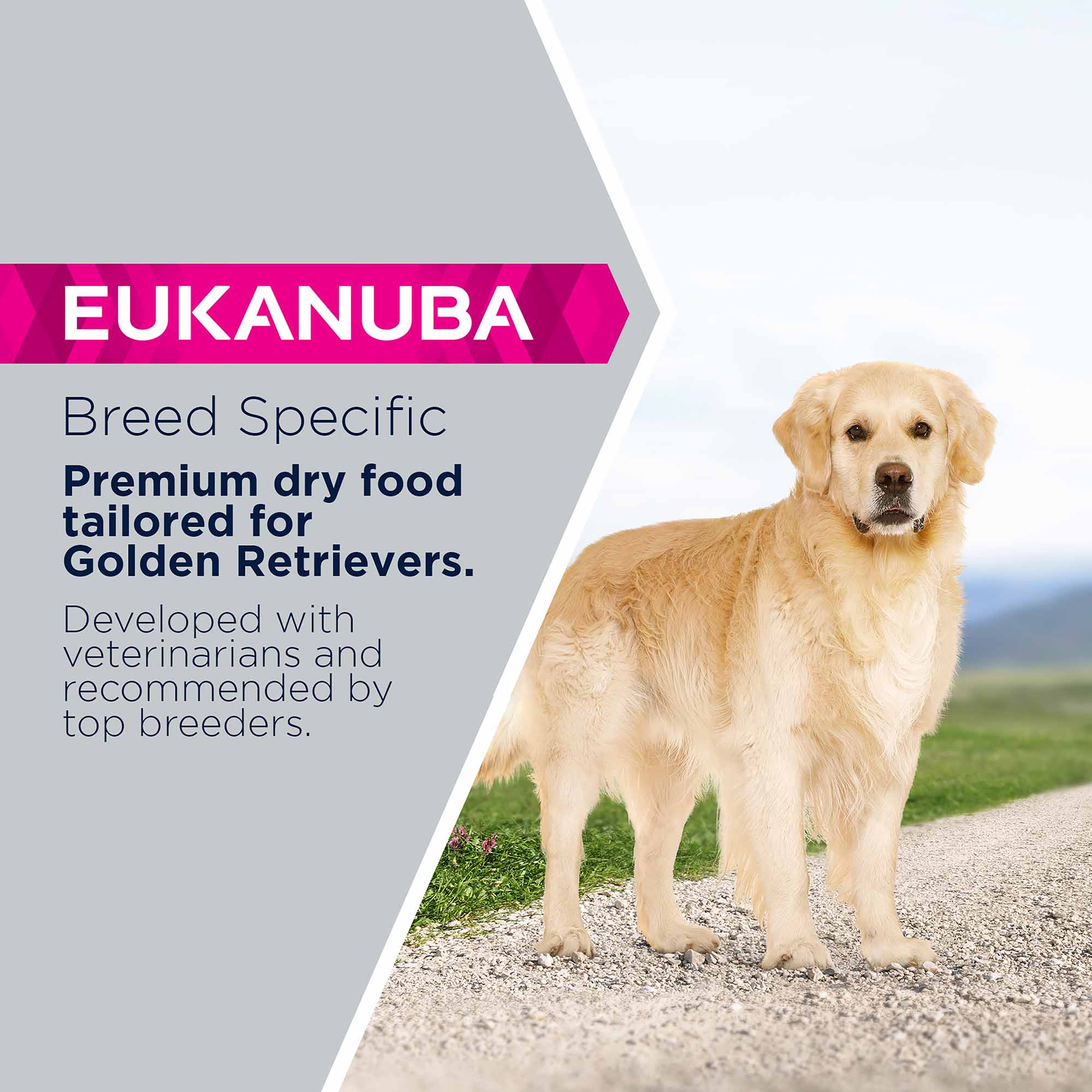 Eukanuba Breed Specific Golden Retriever Dry Dog Food - Image 3