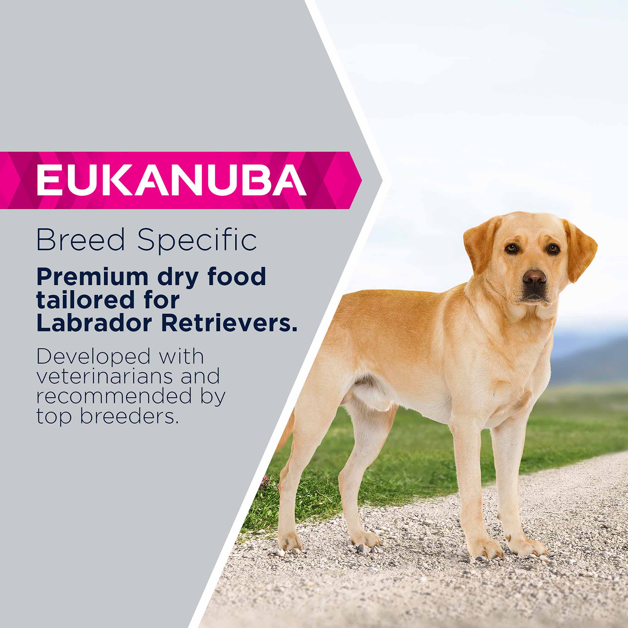 Eukanuba Breed Specific Labrador Retriever Adult Dry Dog Food - Image 3