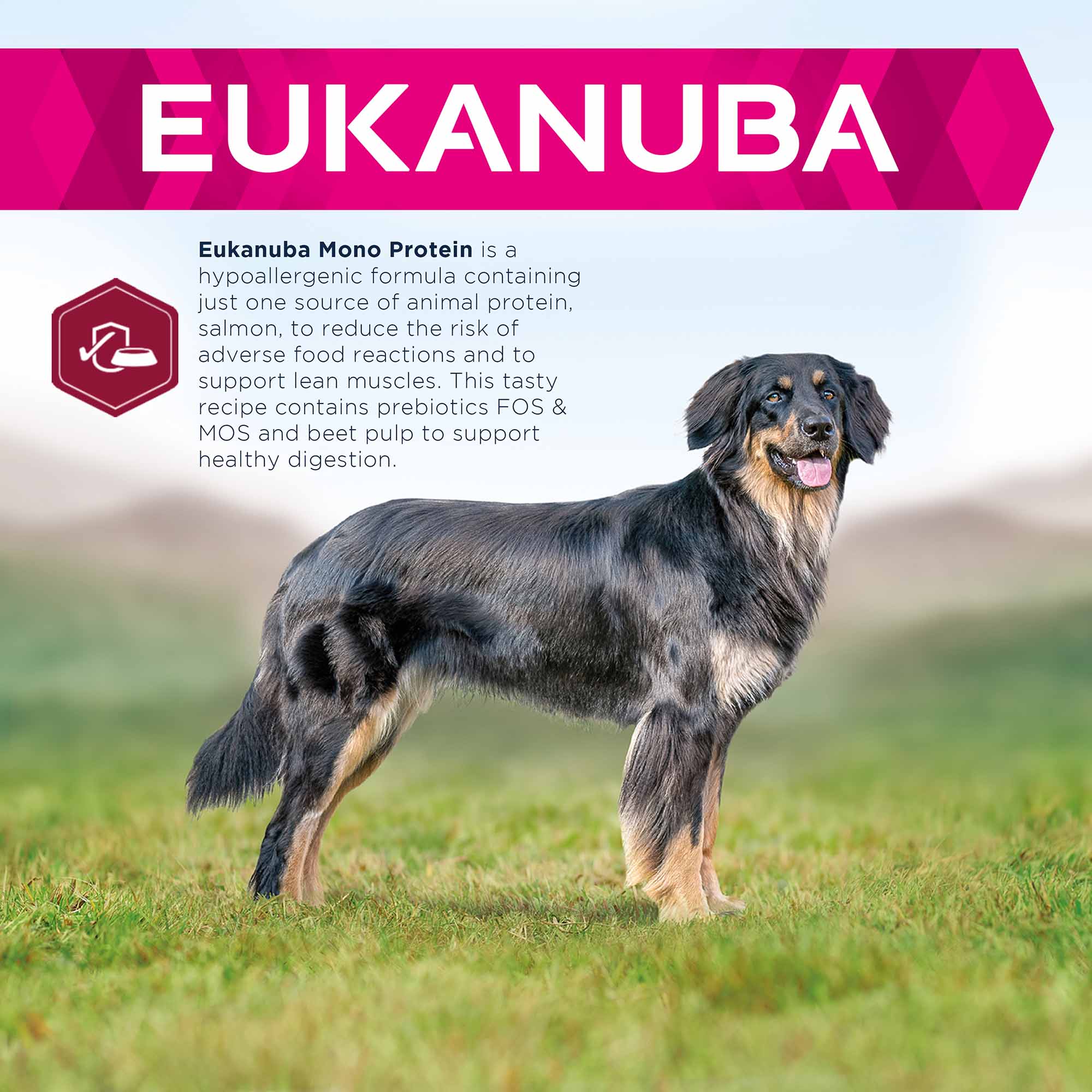 Eukanuba Daily Care Mono Protein Adult Dry Dog Food - Salmon - Image 3