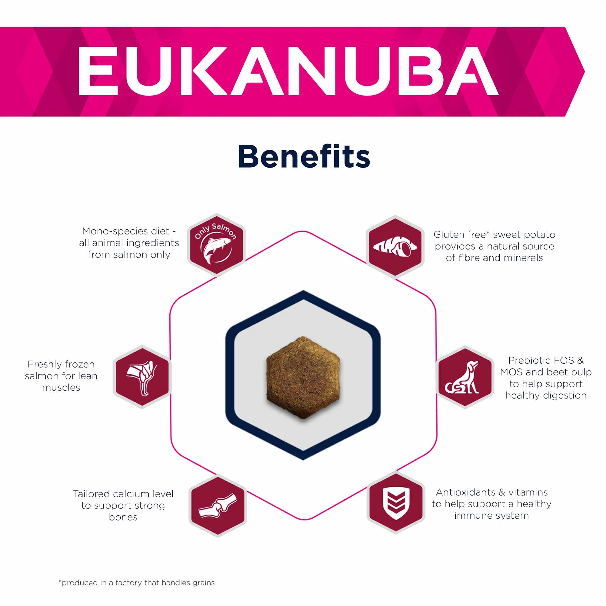 Eukanuba Daily Care Mono Protein Adult Dry Dog Food - Salmon - Image 4