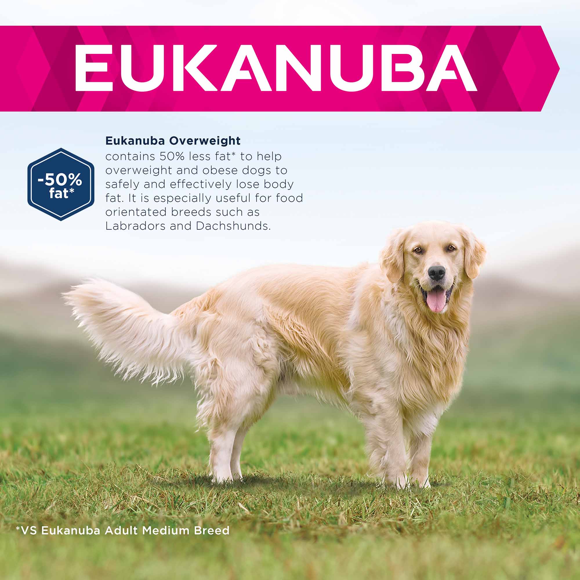 Eukanuba Daily Care Overweight Sterilised Adult Dry Dog Food chicken - Image 3
