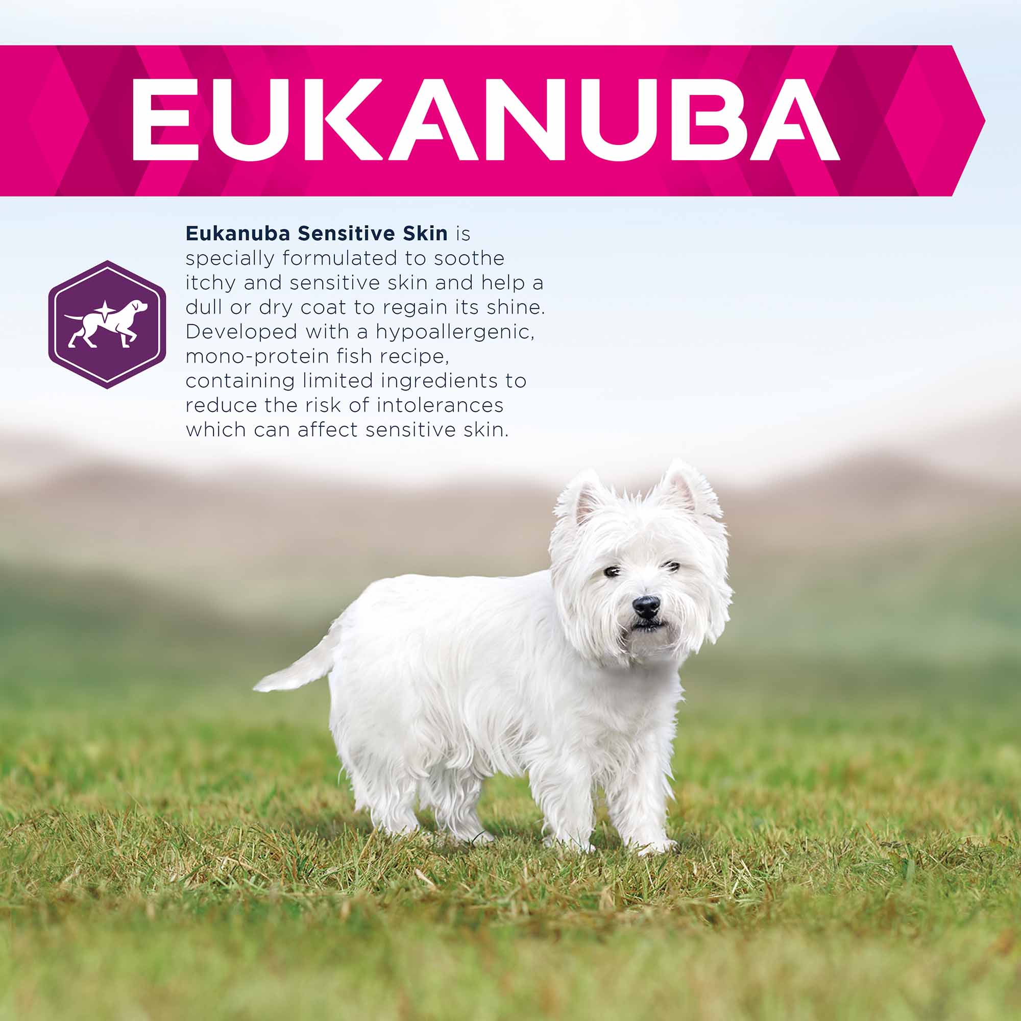 Eukanuba Daily Care Sensitive Skin Adult Dry Dog Food - Fish - Image 3