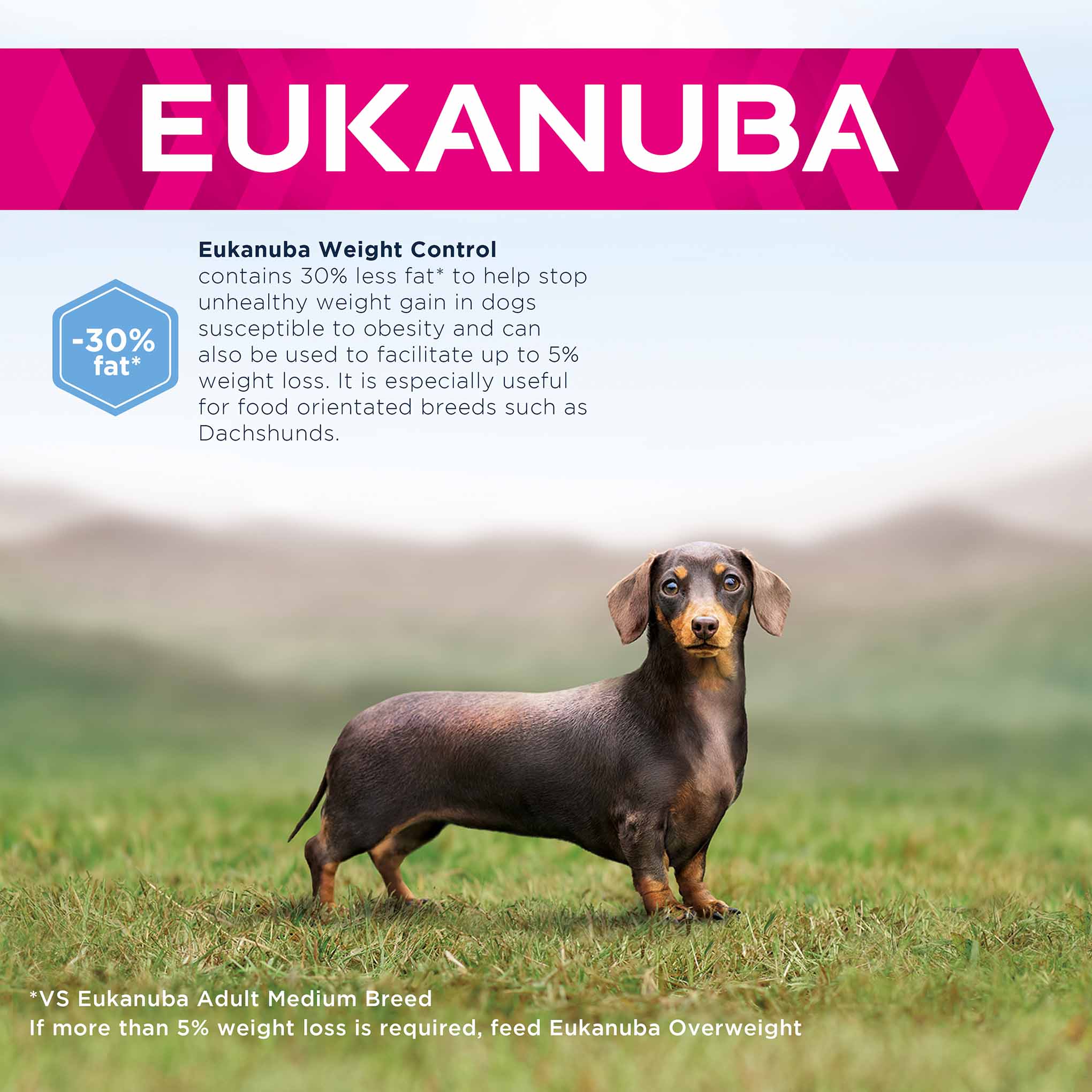 Eukanuba Daily Care Weight Control Small/Medium Breed Adult Dry Dog Food - Image 3