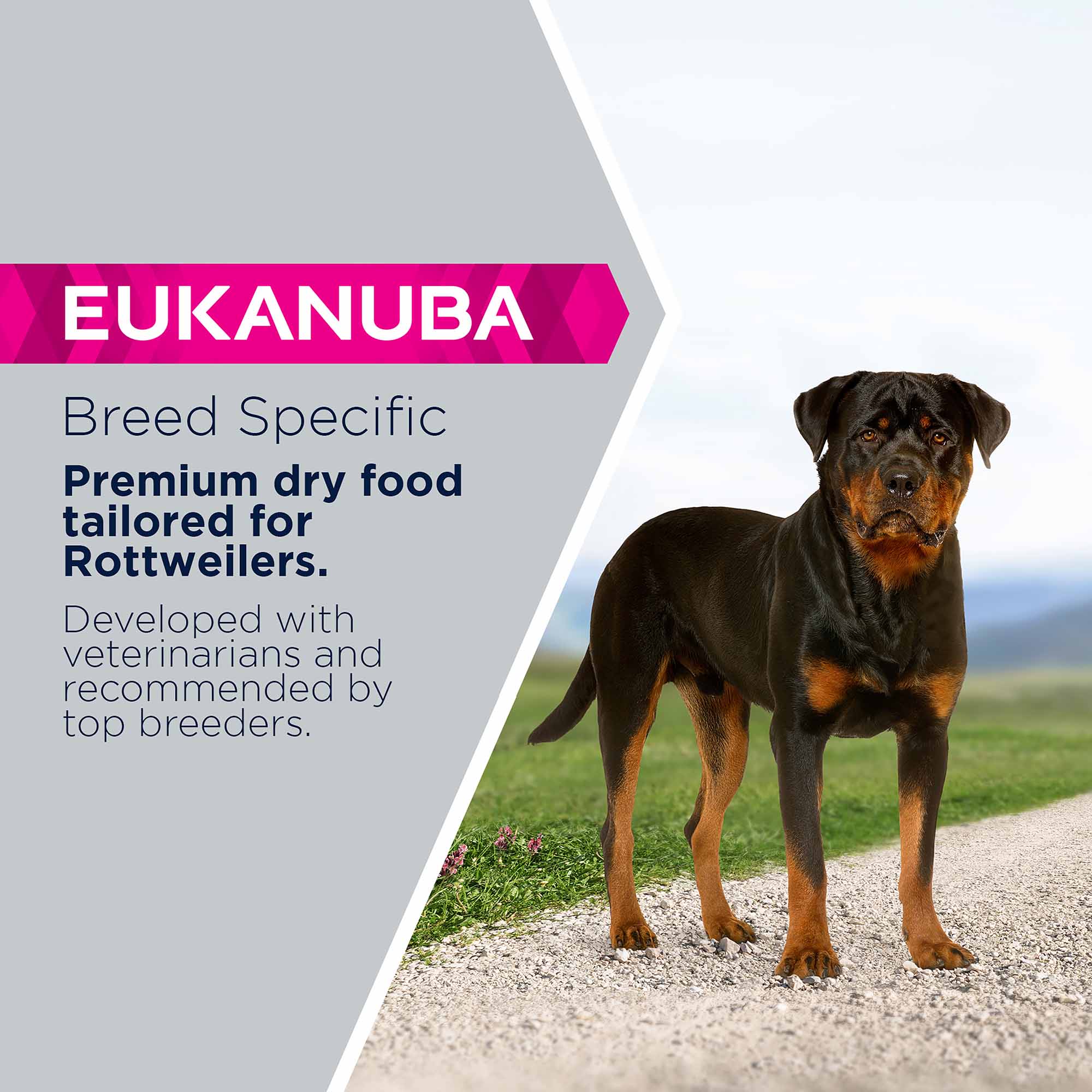 Eukanuba Dog Breed Specific Rottweiler Adult Dry Dog Food - Chicken - Image 3