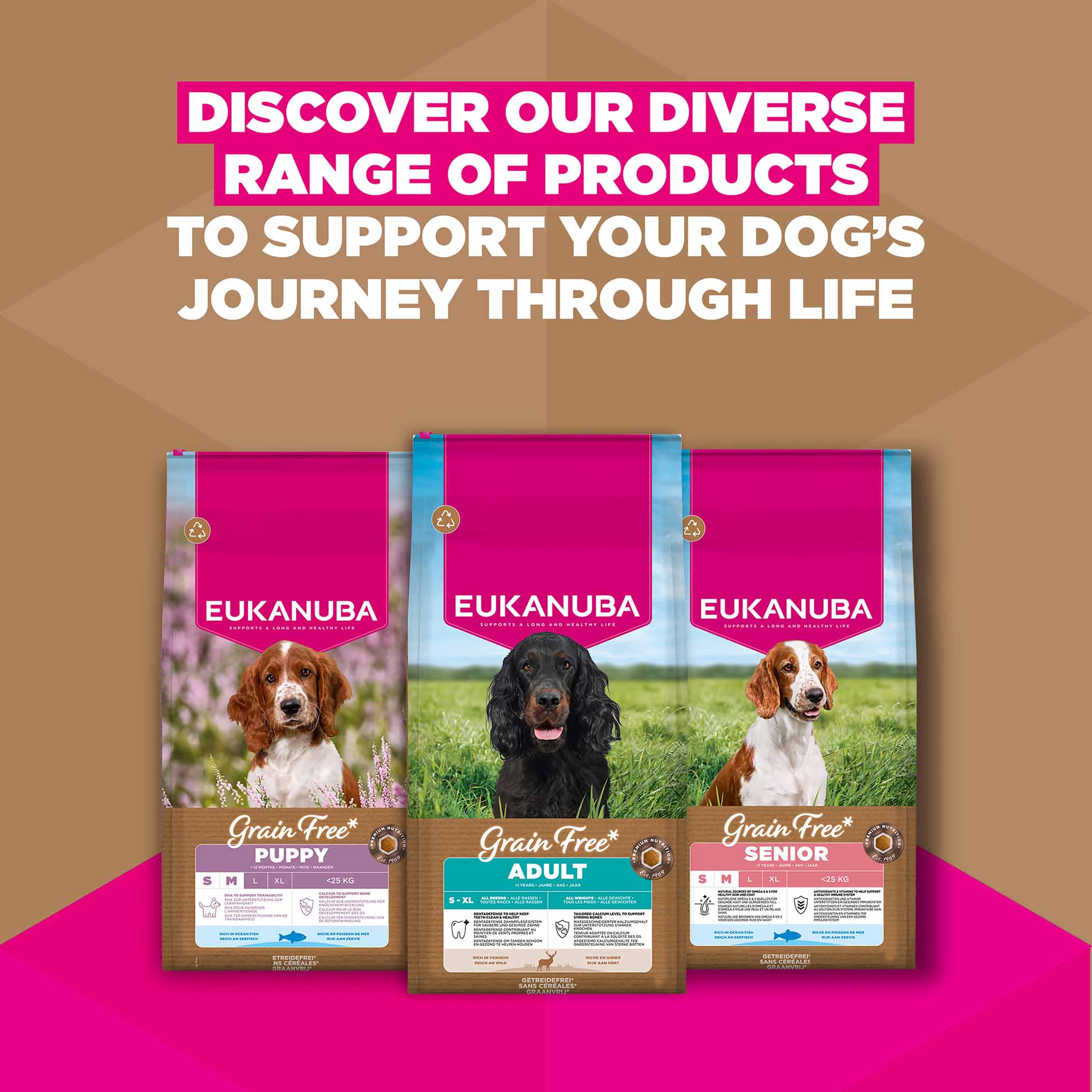 Eukanuba Grain Free Adult Dry Dog Food - Venison - Image 10