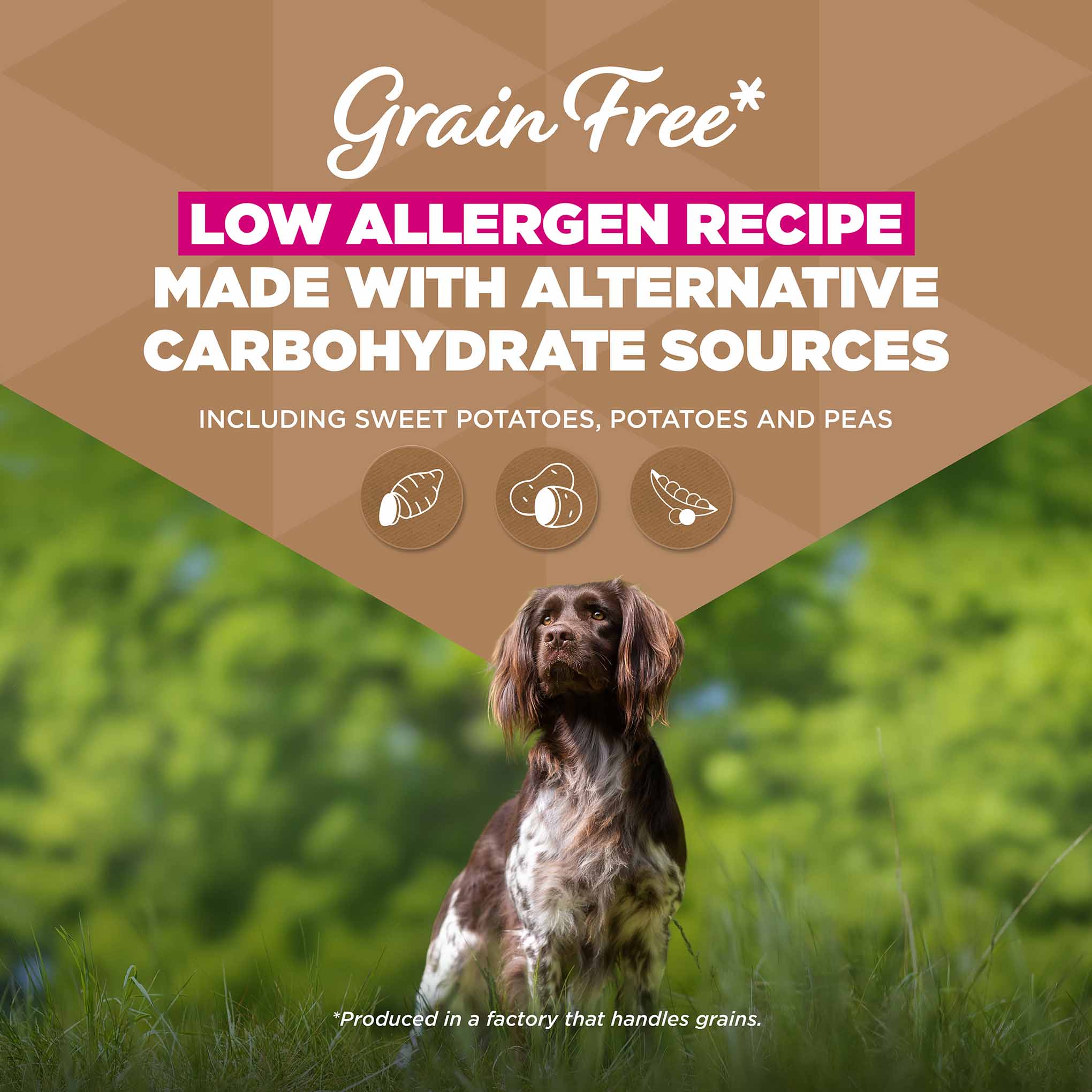 Eukanuba Grain Free Adult Dry Dog Food - Venison - Image 3