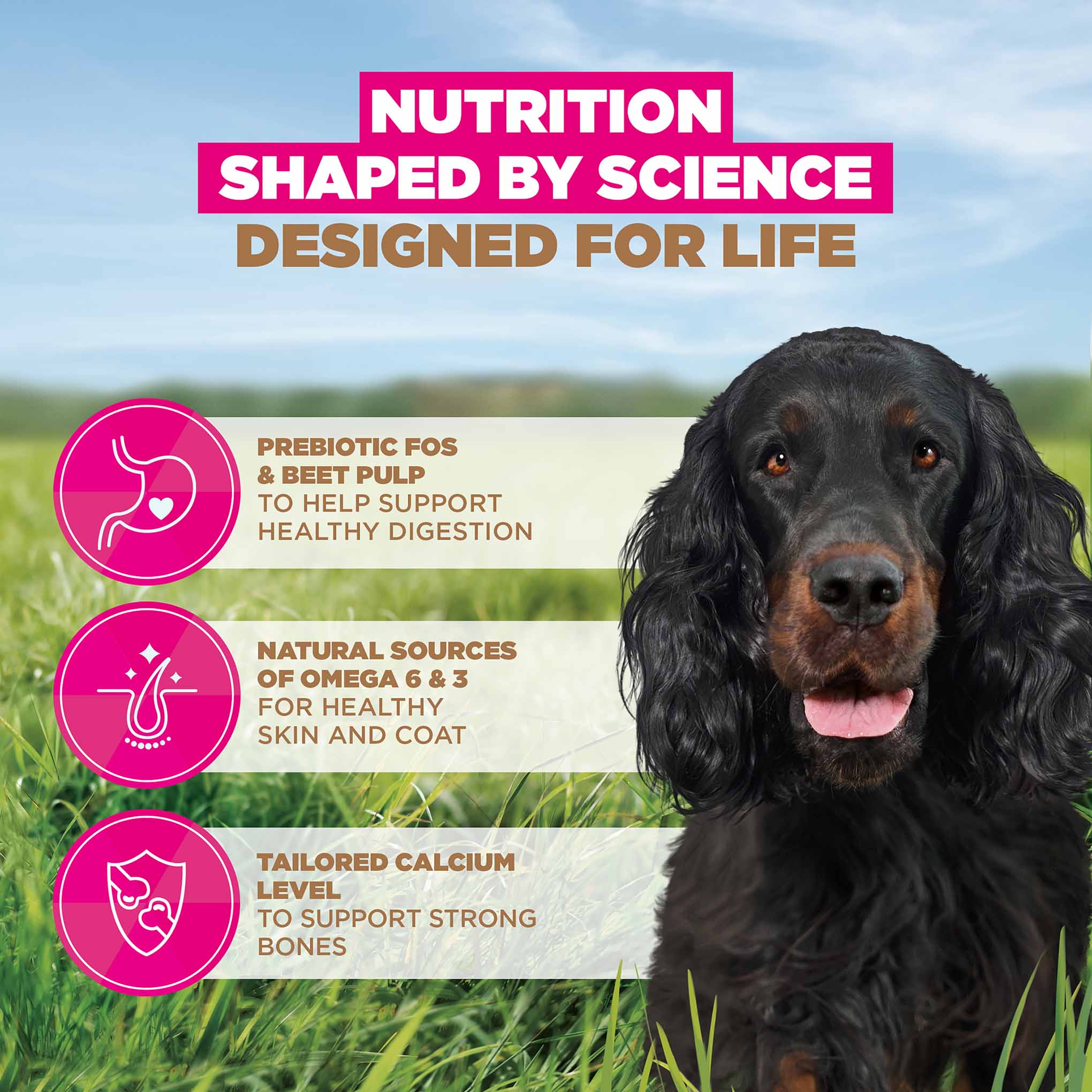 Eukanuba Grain Free Adult Dry Dog Food - Venison - Image 4