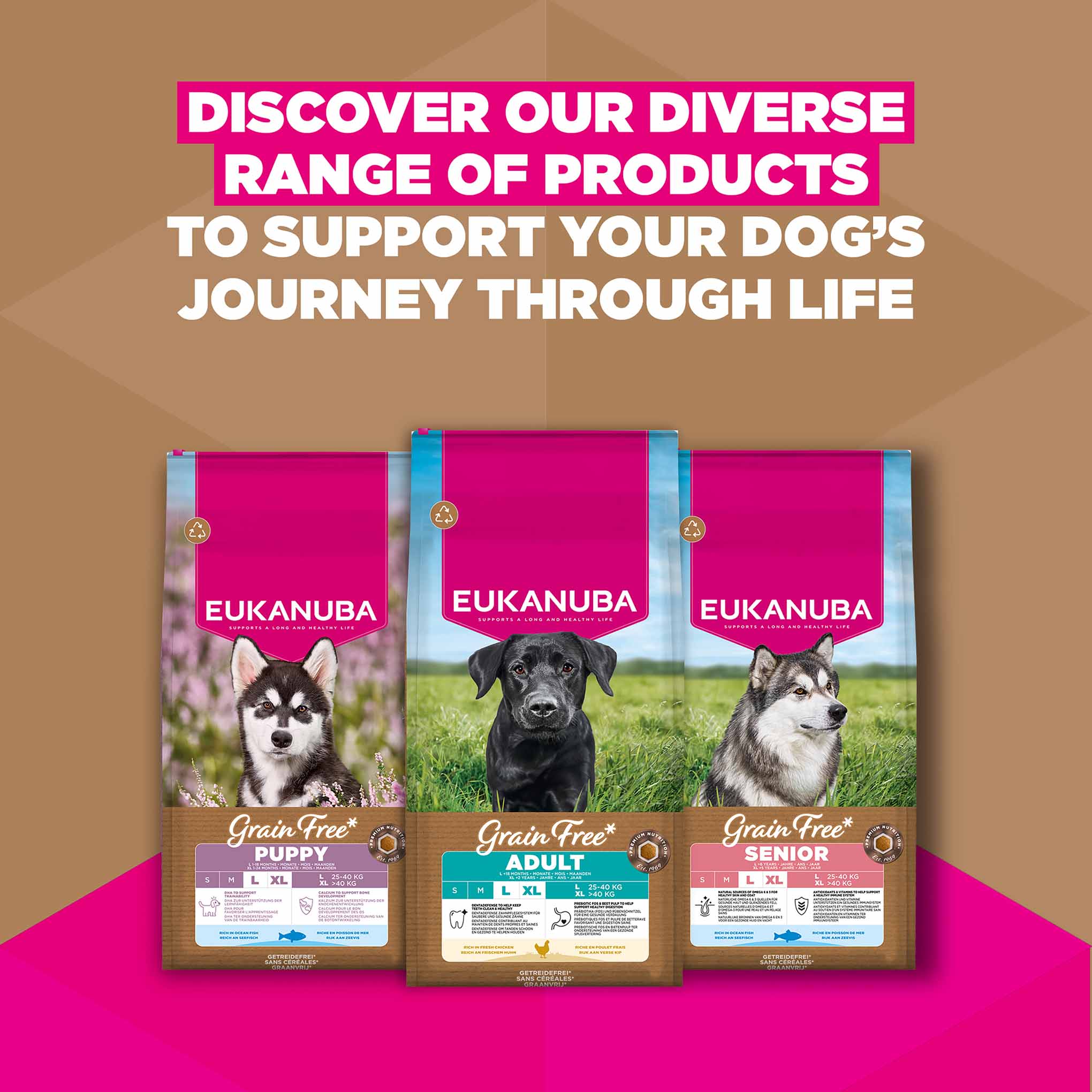 Eukanuba Grain Free Large Breed Adult Dry Dog Food - Chicken - Image 10