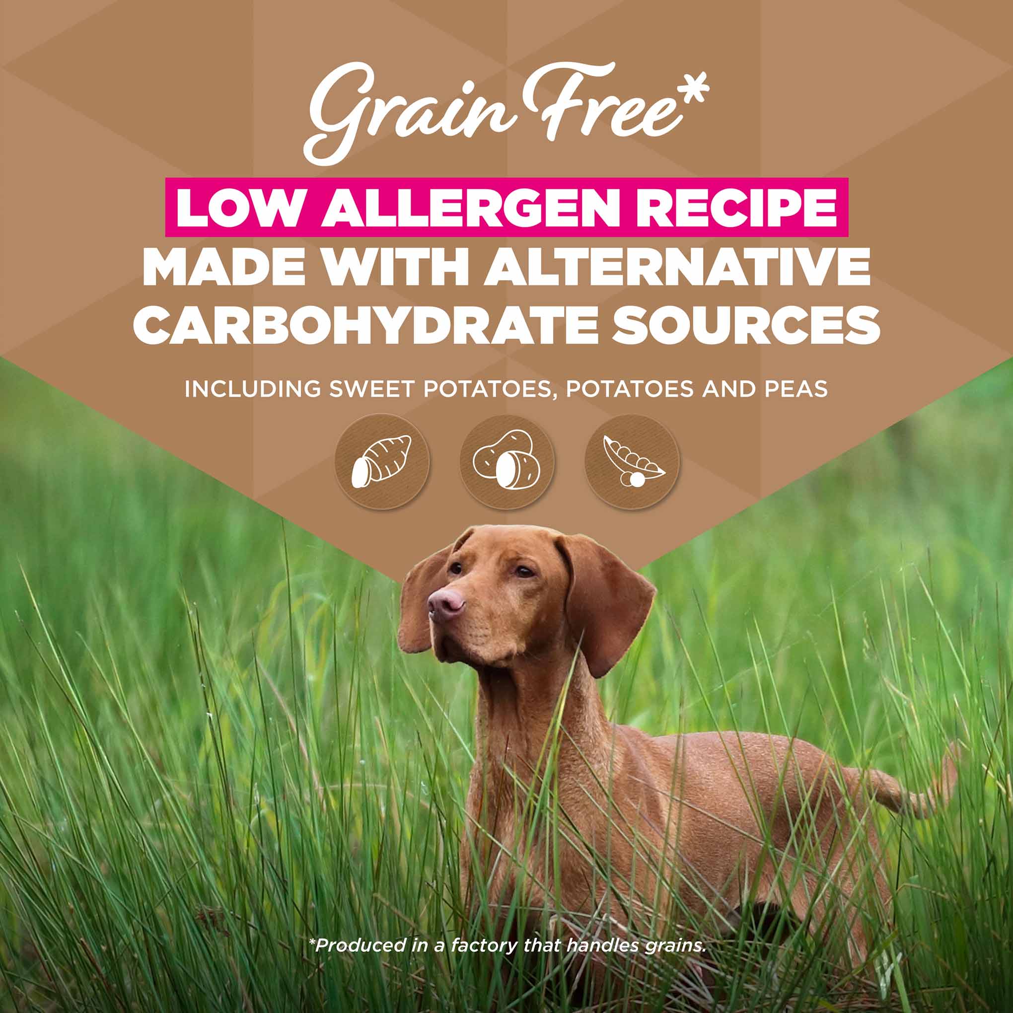Eukanuba Grain Free Large Breed Adult Dry Dog Food - Chicken - Image 3