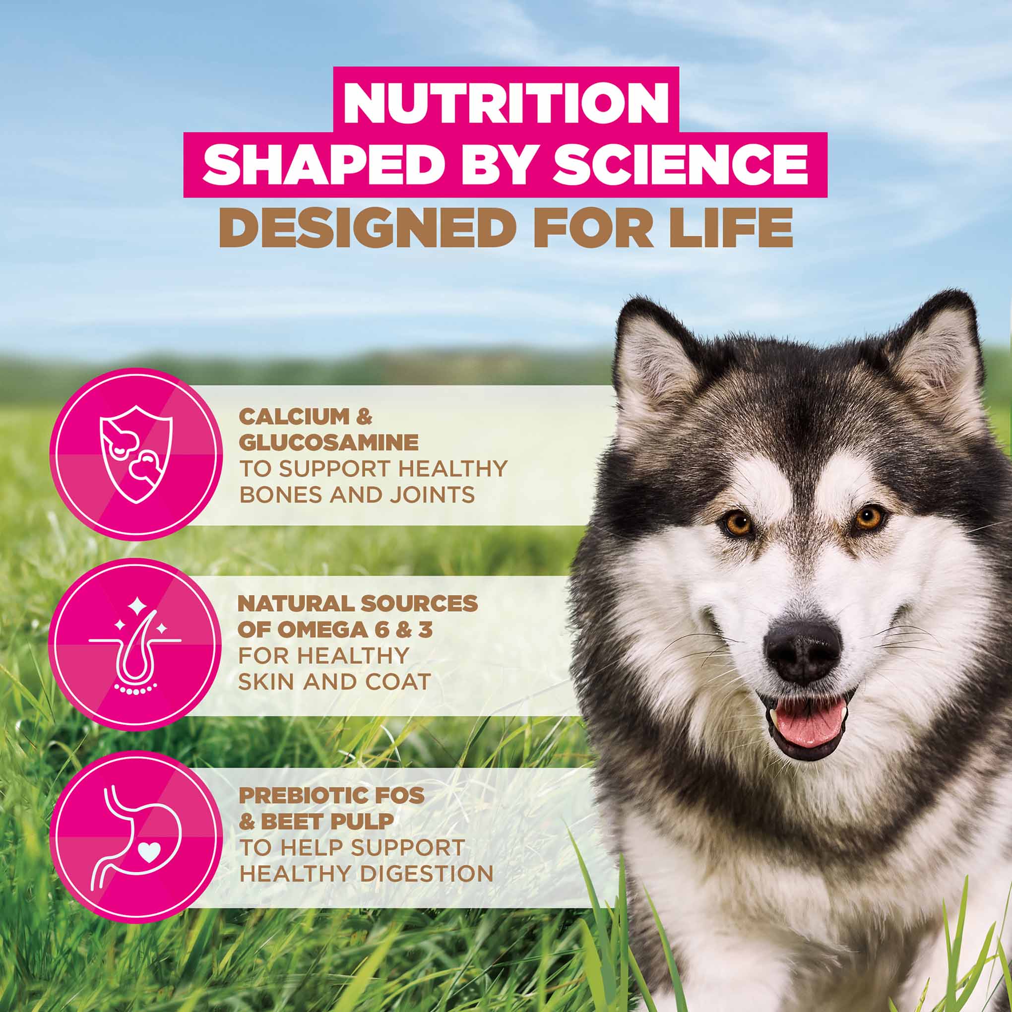 Eukanuba Grain Free Large Breed Adult Dry Dog Food - Ocean Fish - Image 4