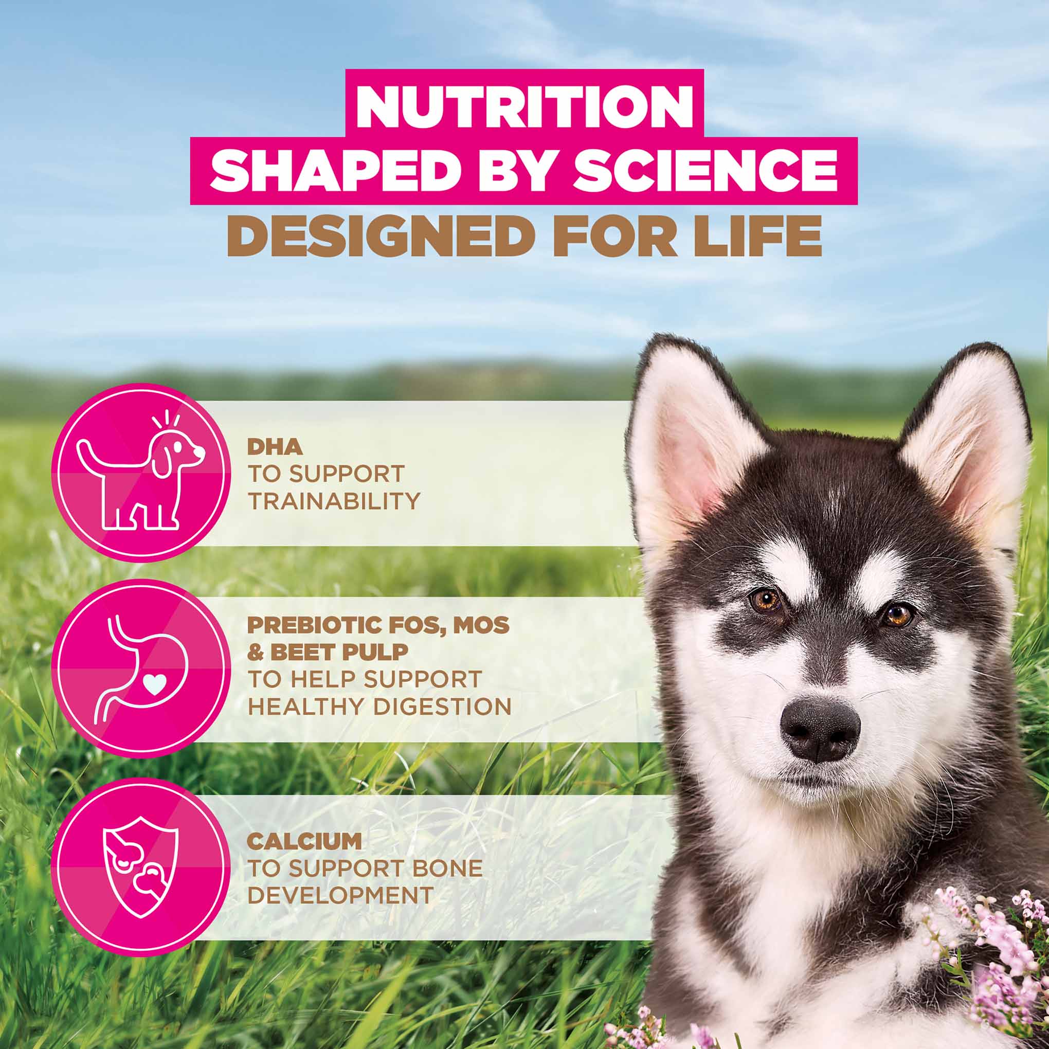 Eukanuba Grain Free Large Breed Puppy&Junior Dry Dog Food - Ocean Fish - Image 4
