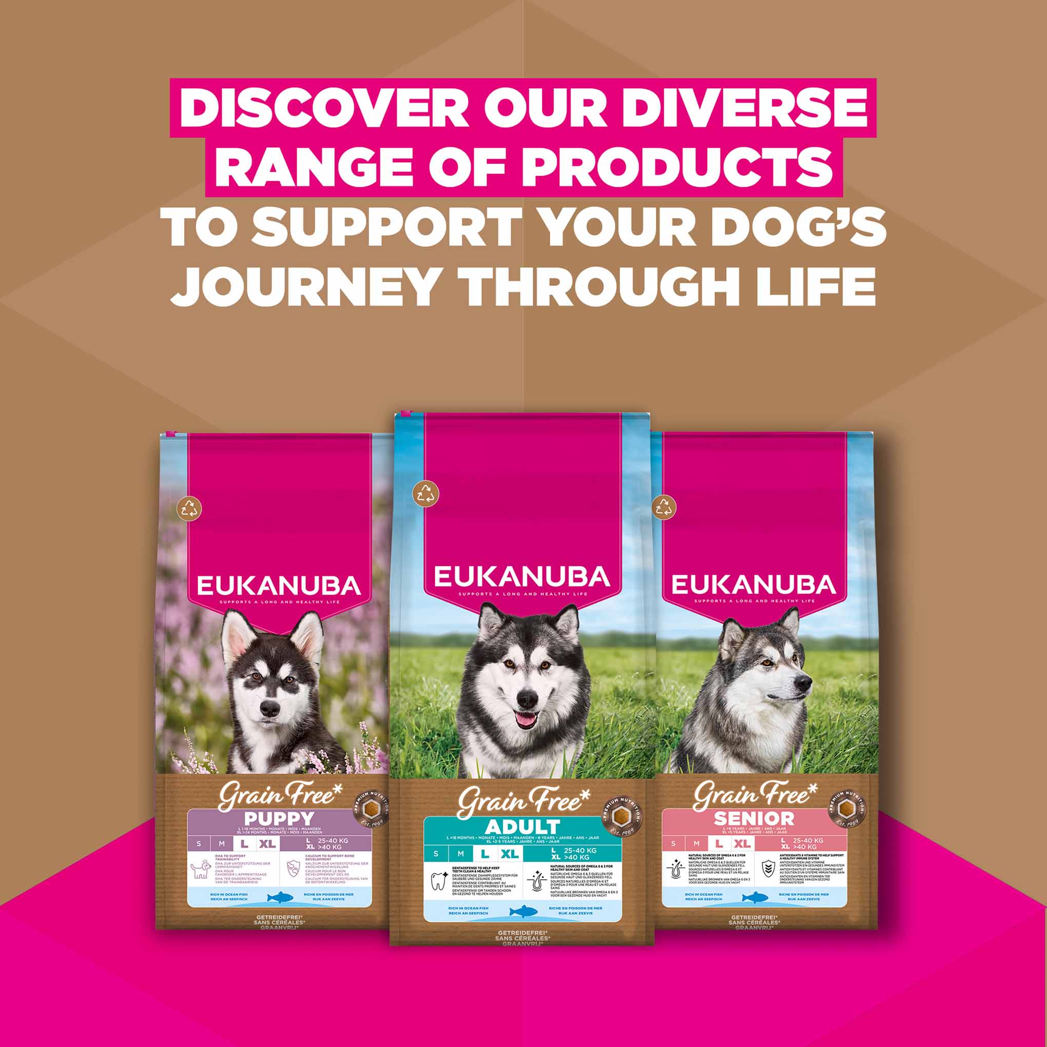 Eukanuba Grain Free Large Breed Senior Dry Dog Food - Ocean Fish - Image 10