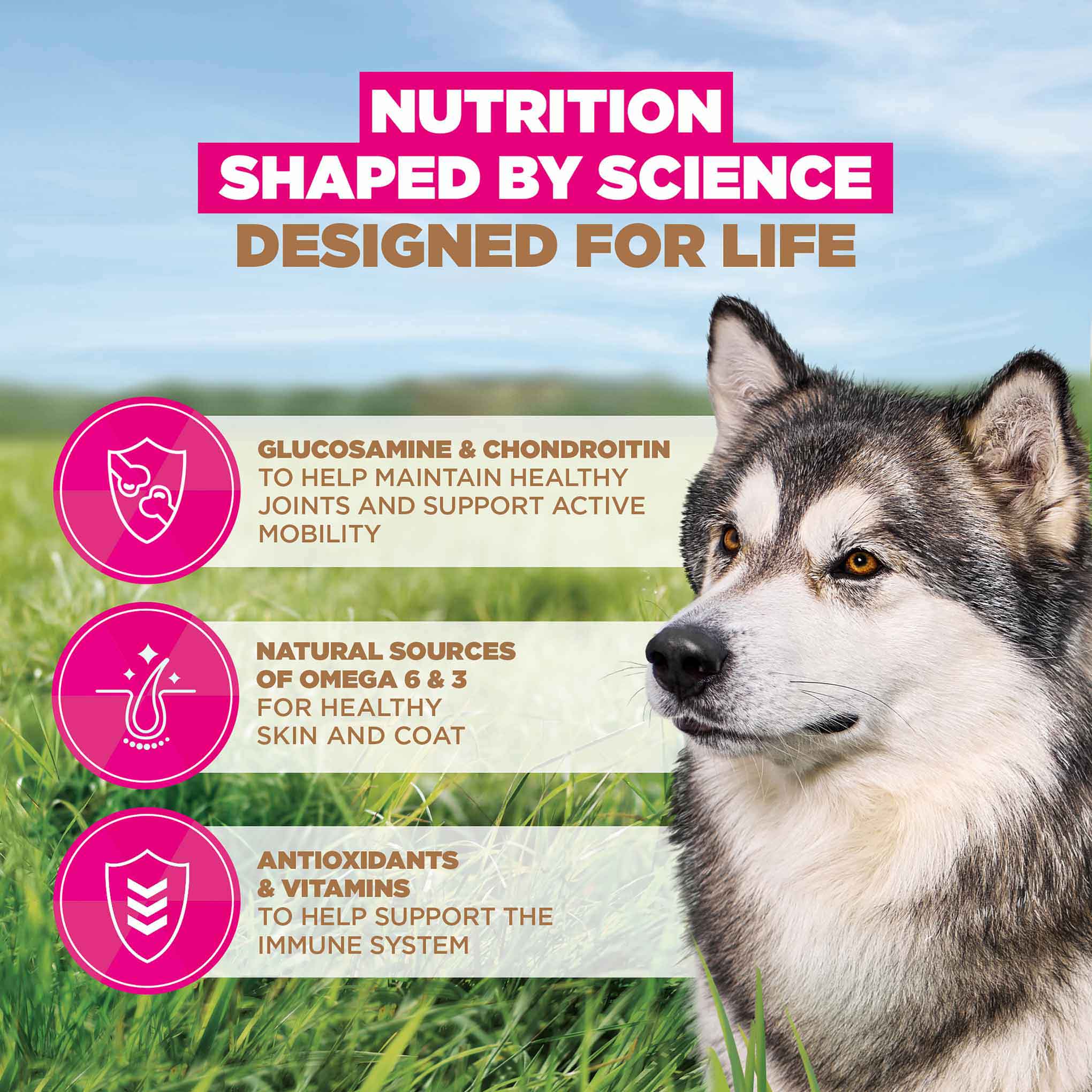 Eukanuba Grain Free Large Breed Senior Dry Dog Food - Ocean Fish - Image 4