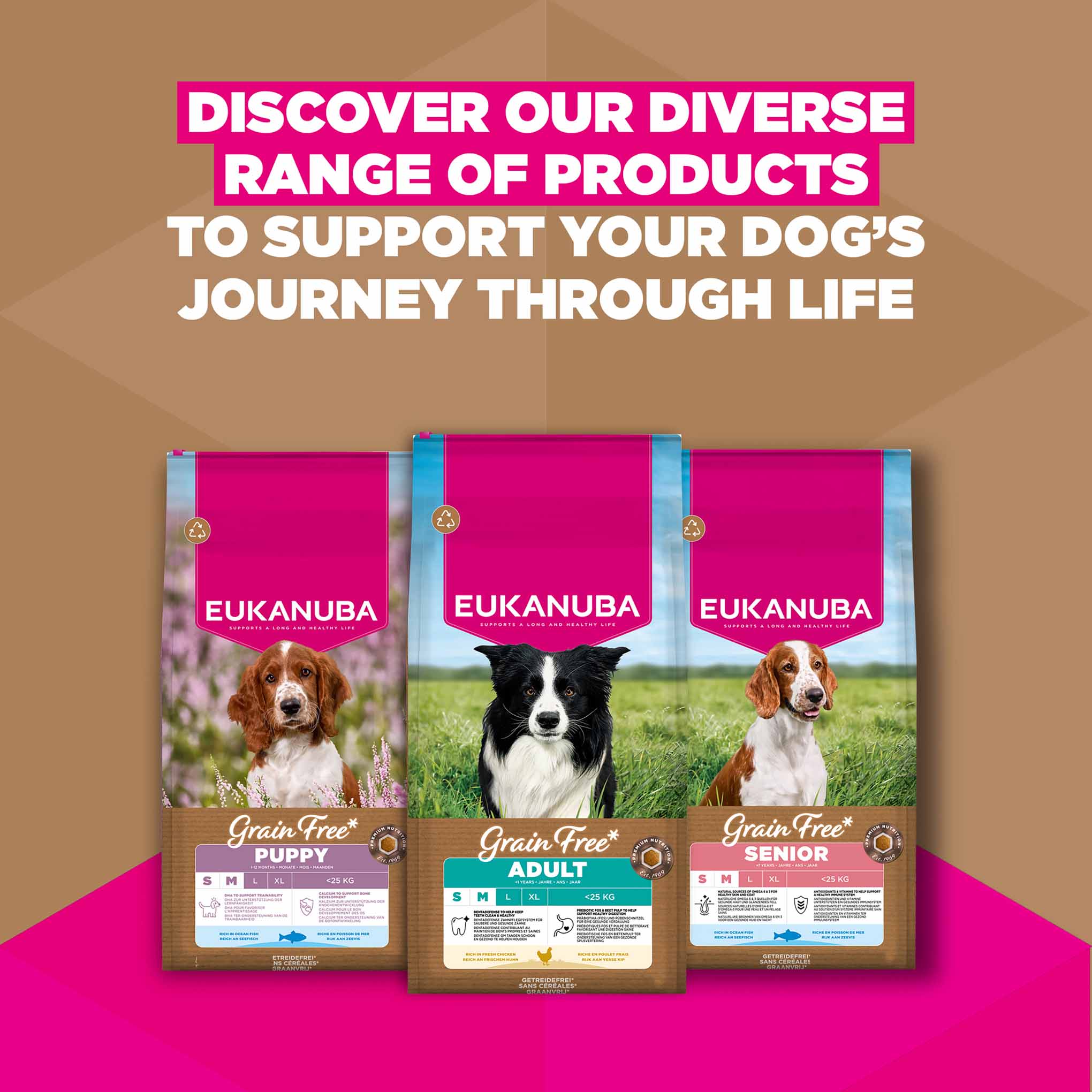 Eukanuba Grain Free Small/Medium Breed Adult Dry Dog Food - Chicken - Image 10