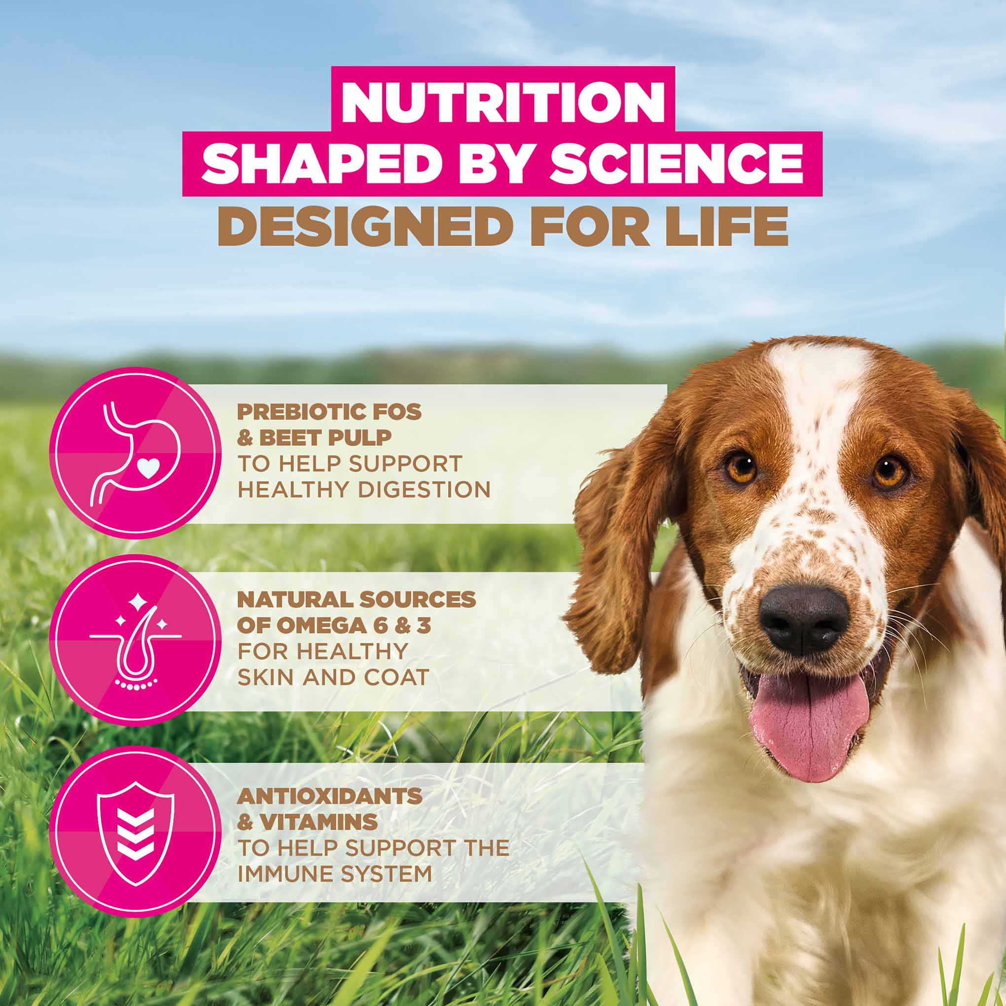 Eukanuba Grain Free Small/Medium Breed Adult Dry Dog Food - Ocean Fish - Image 4