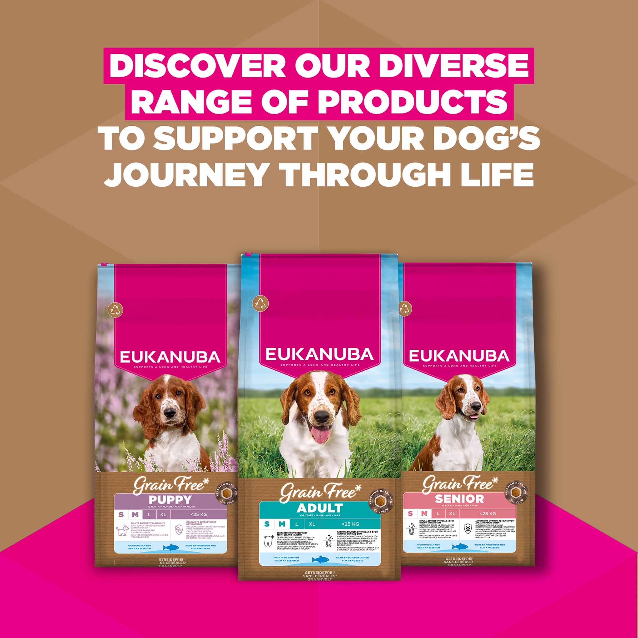 Eukanuba Grain Free Small/Medium Breed Senior Dry Dog Food - Ocean Fish - Image 10