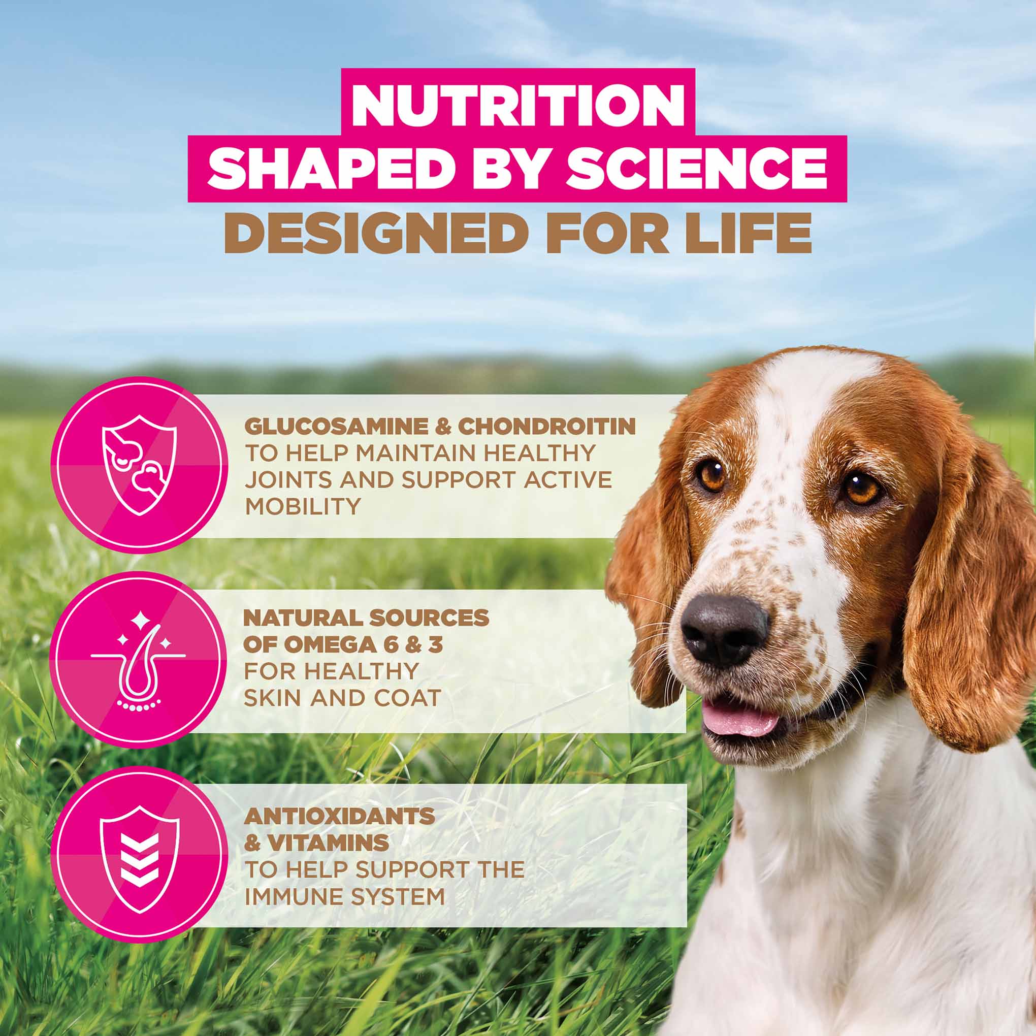 Eukanuba Grain Free Small/Medium Breed Senior Dry Dog Food - Ocean Fish - Image 4