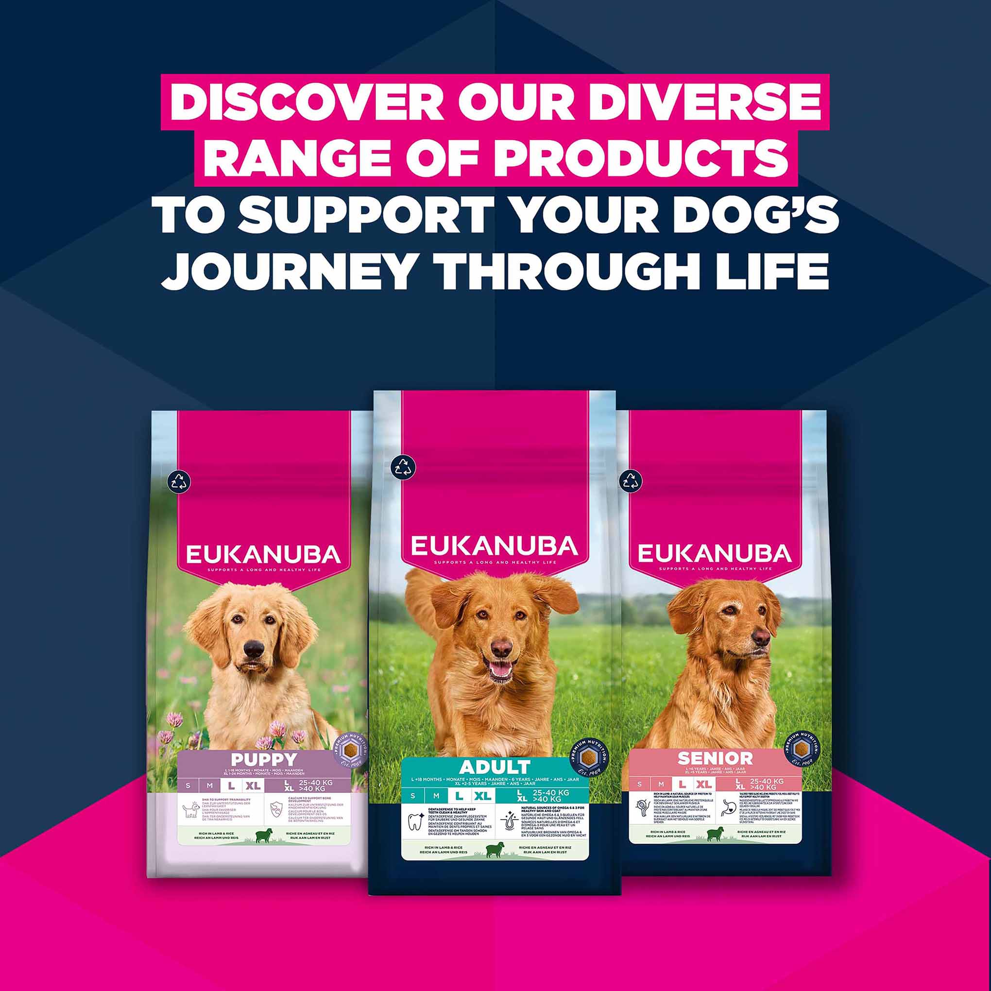 Eukanuba Large Breed Adult Dry Dog Food - Lamb & Rice - Image 11