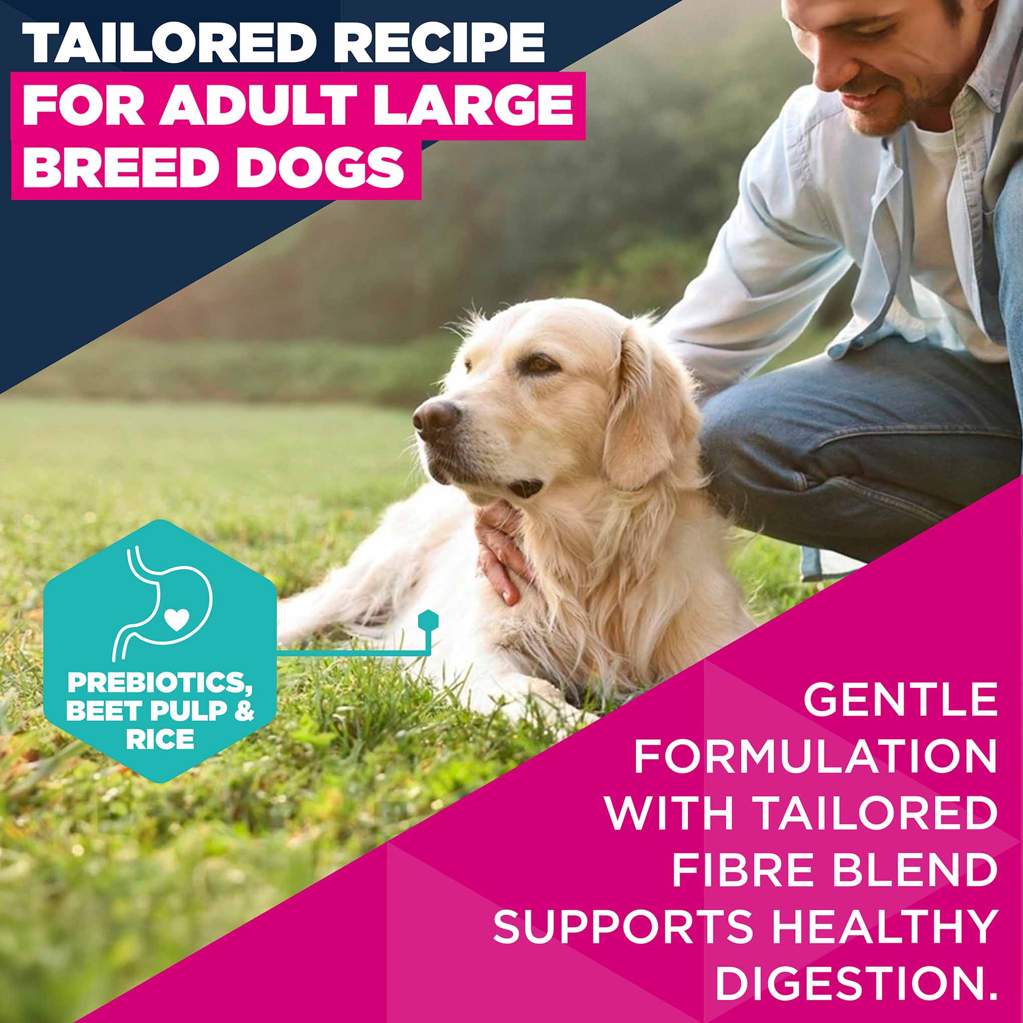 Eukanuba Large Breed Adult Dry Dog Food - Lamb & Rice - Image 4