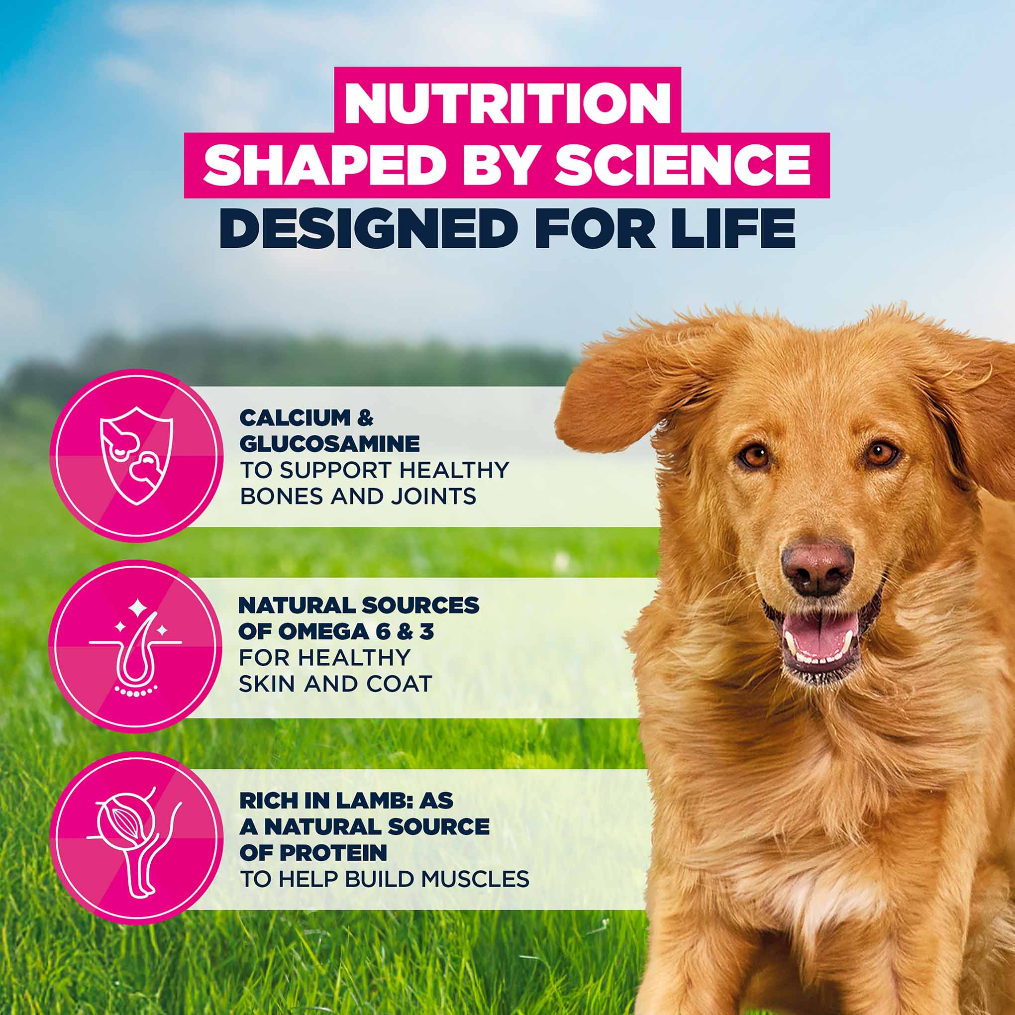 Eukanuba Large Breed Adult Dry Dog Food - Lamb & Rice - Image 5